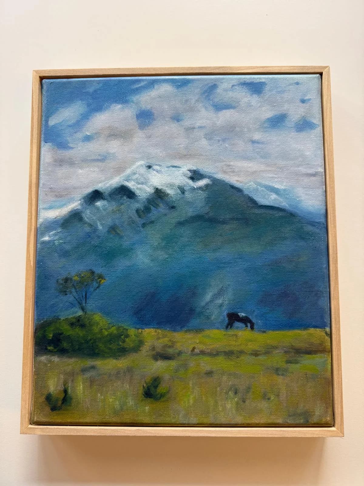 Quiet Mountain Pasture