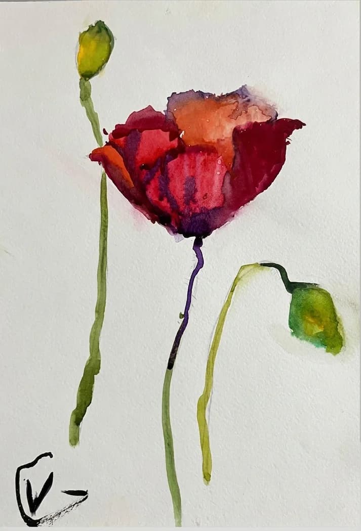 The Lonely Poppy
