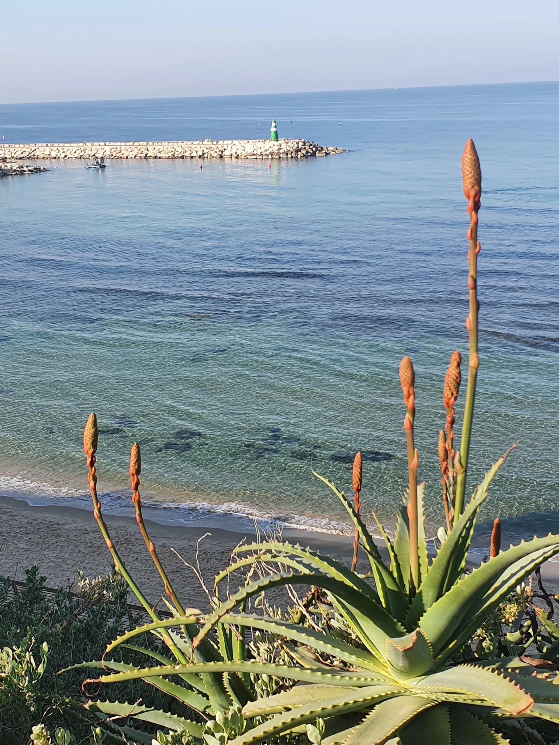 Mediterranean Resilience: The Coast, Part II