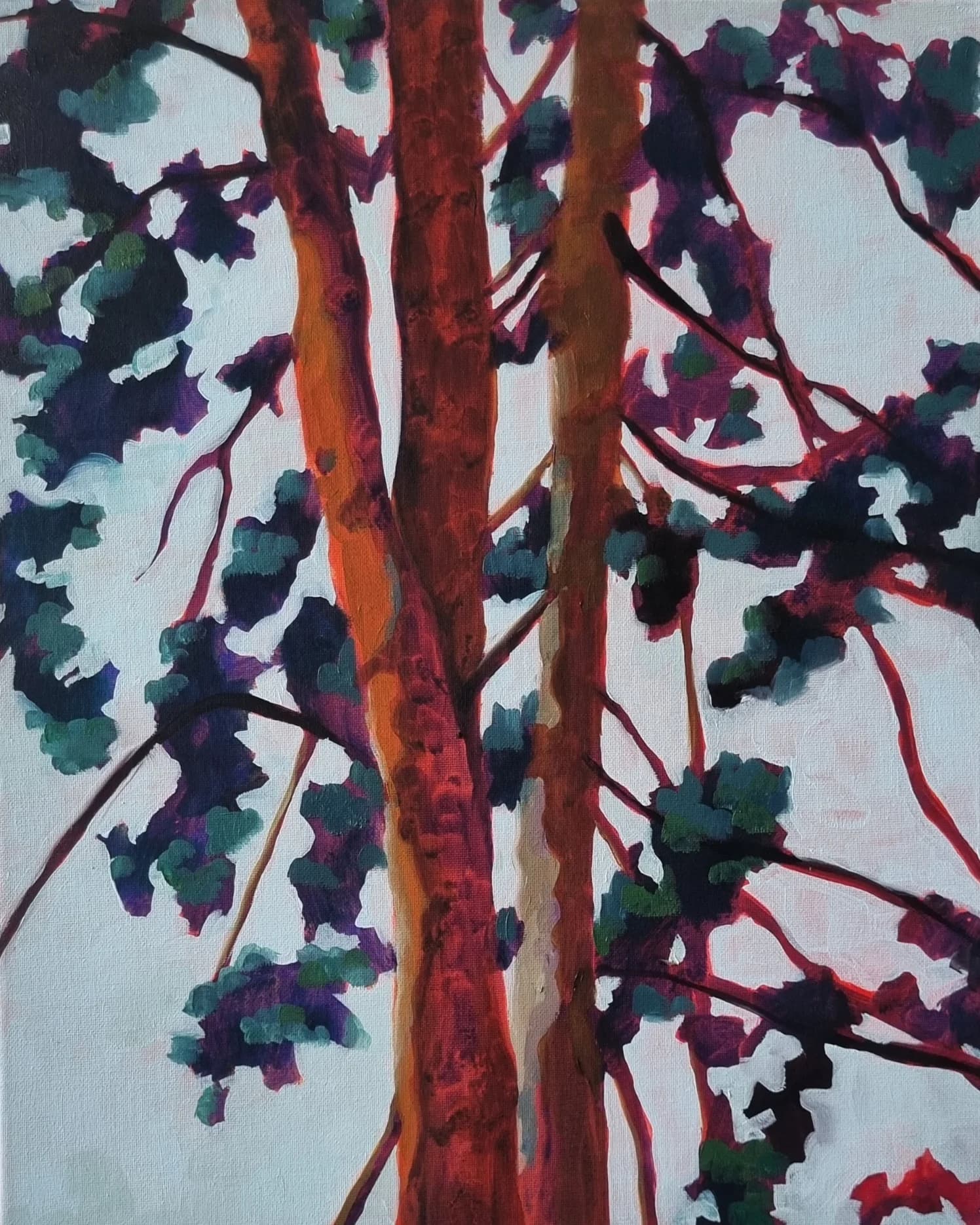 Canopy in Crimson Light