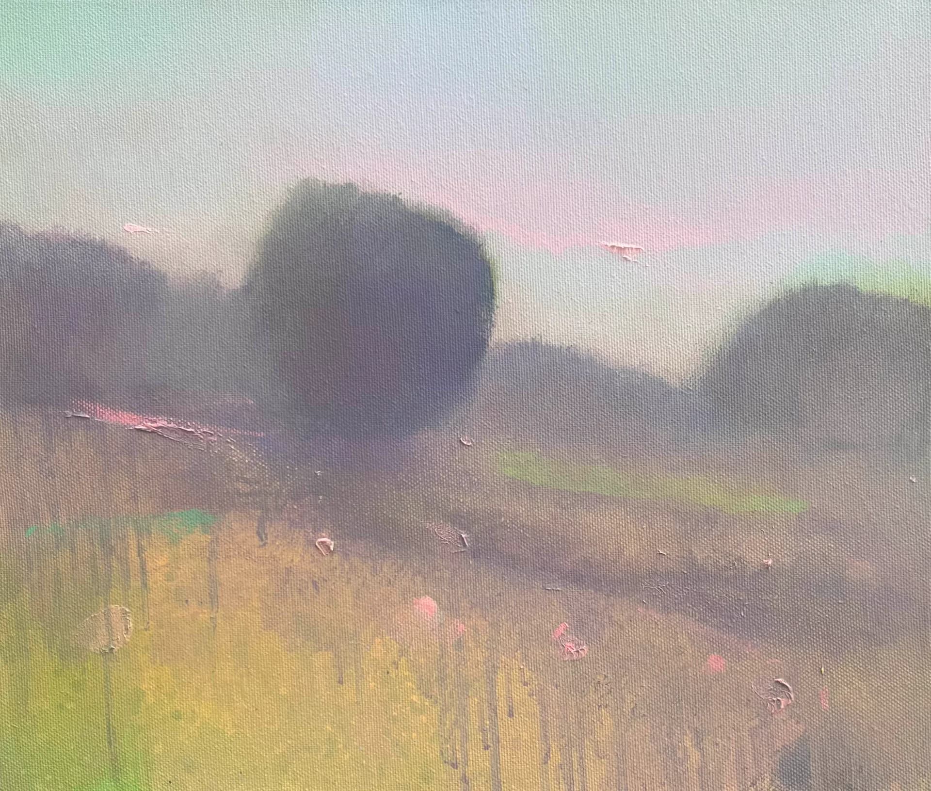 EARLY MIST 05