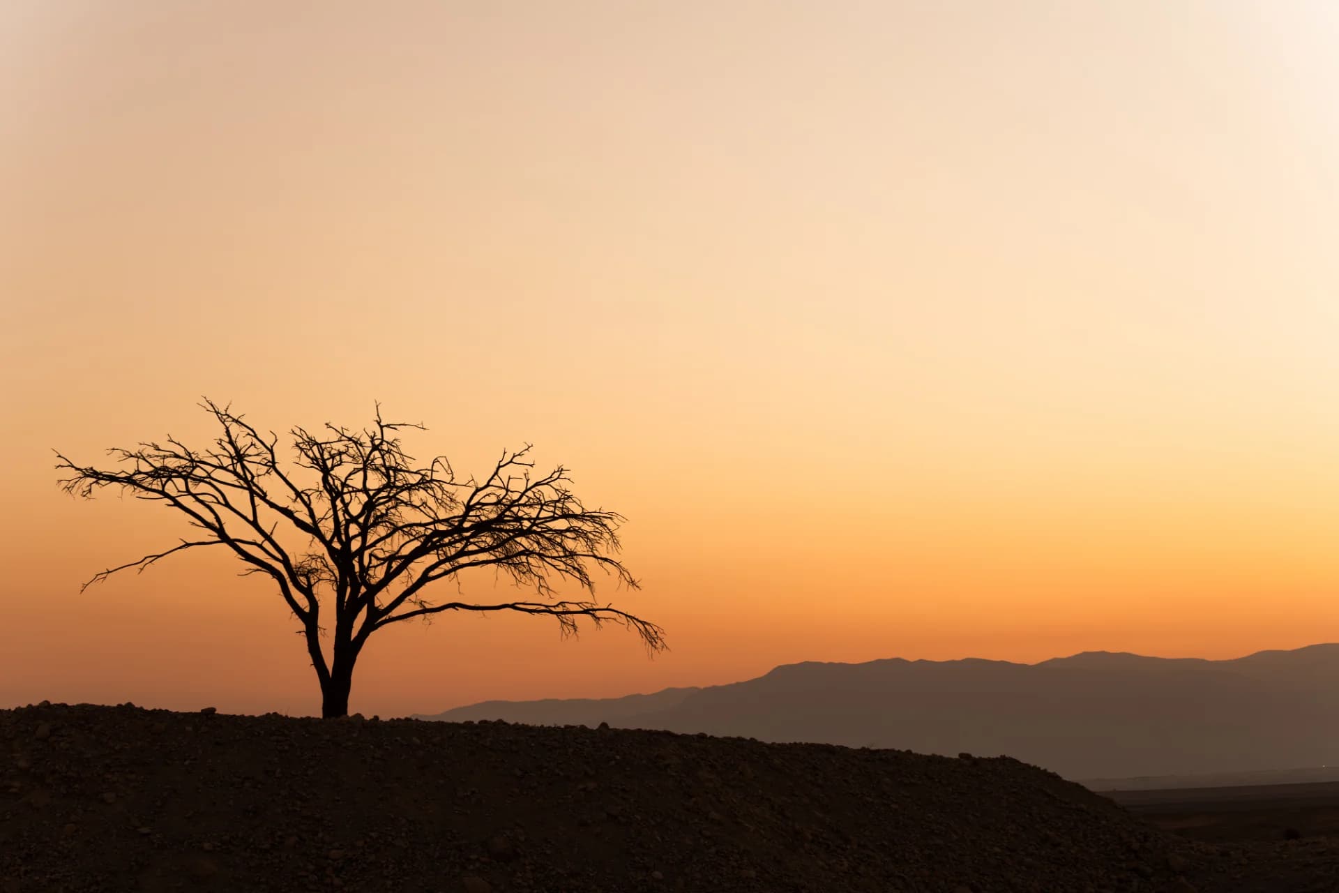 Desert Twilight Silhouette