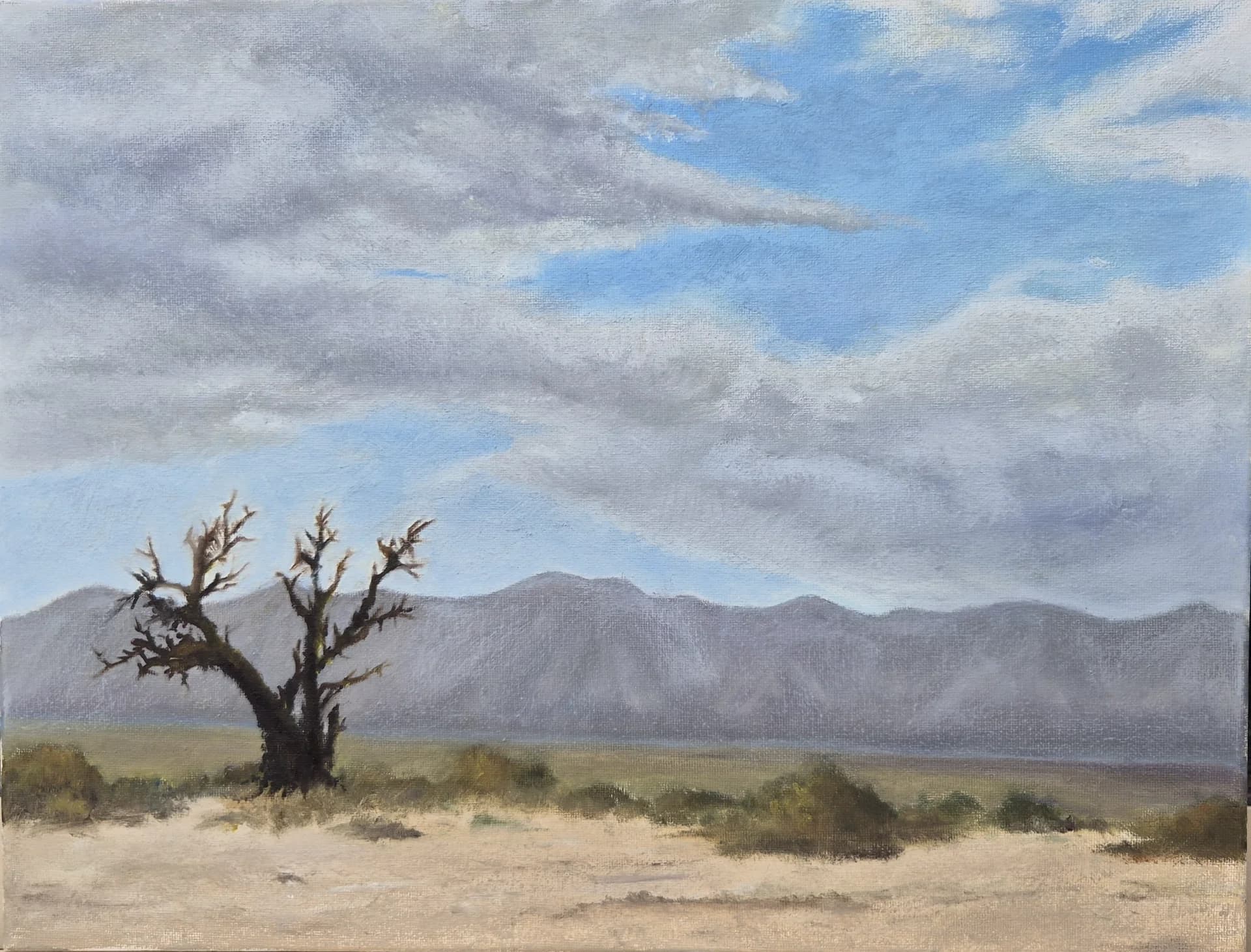 Arava