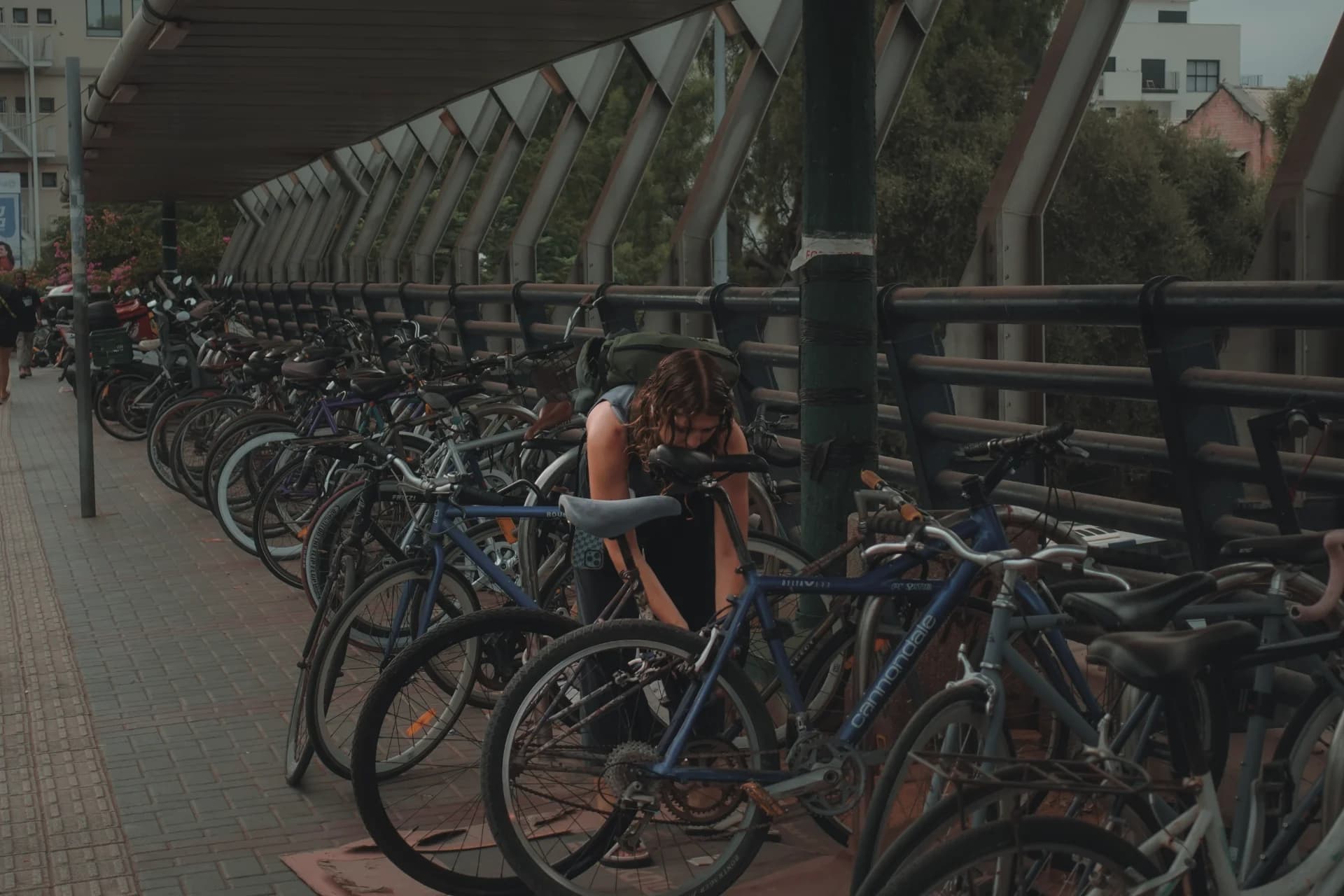 Between Bikes and Shadows