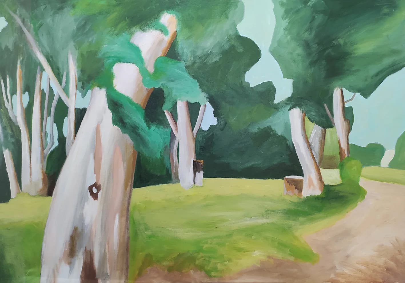 Among the Eucalyptus