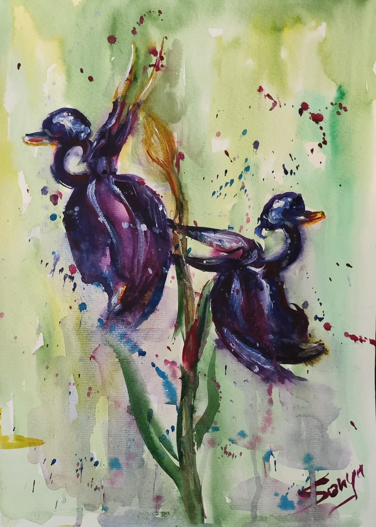 Iris in Motion