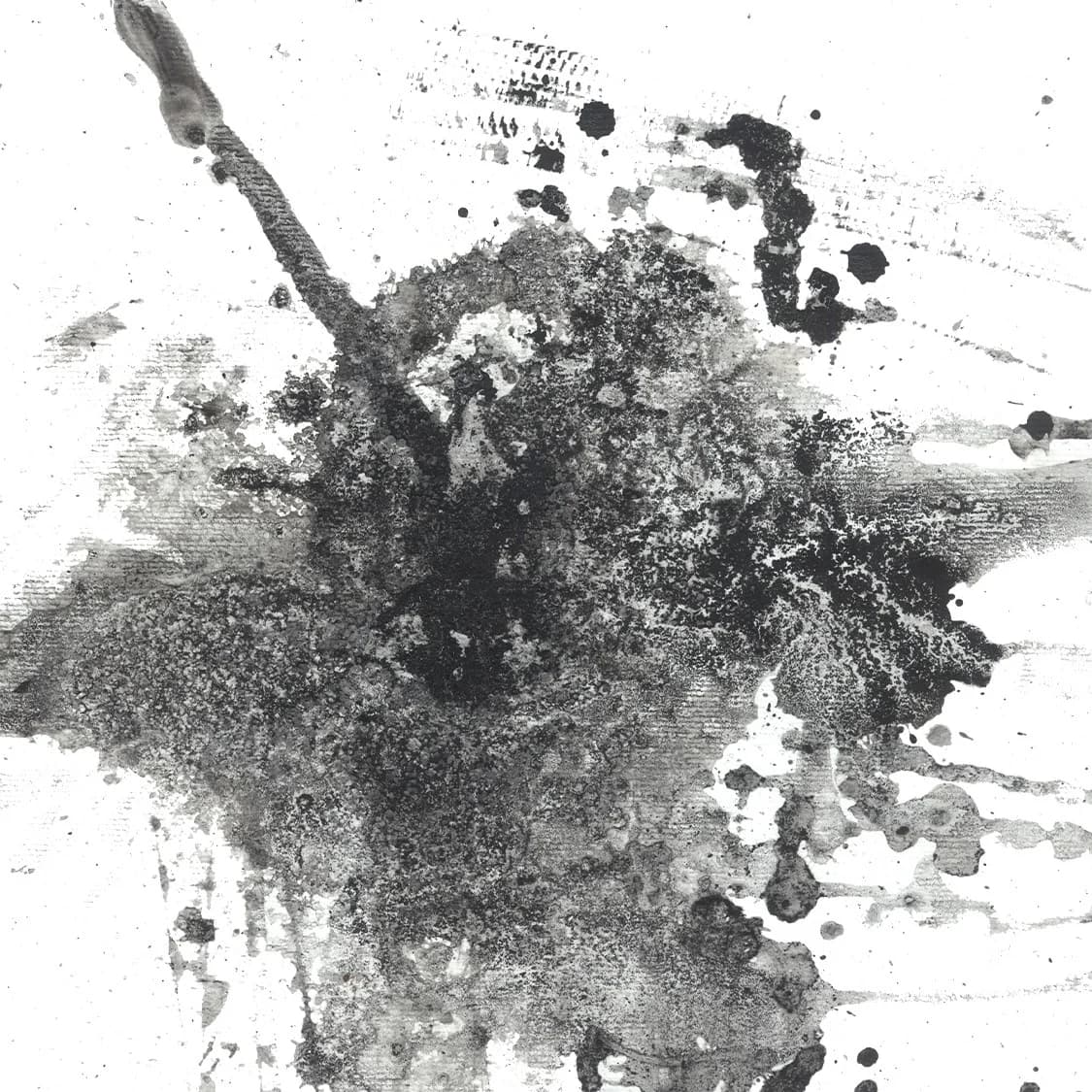 Ink Echoes
