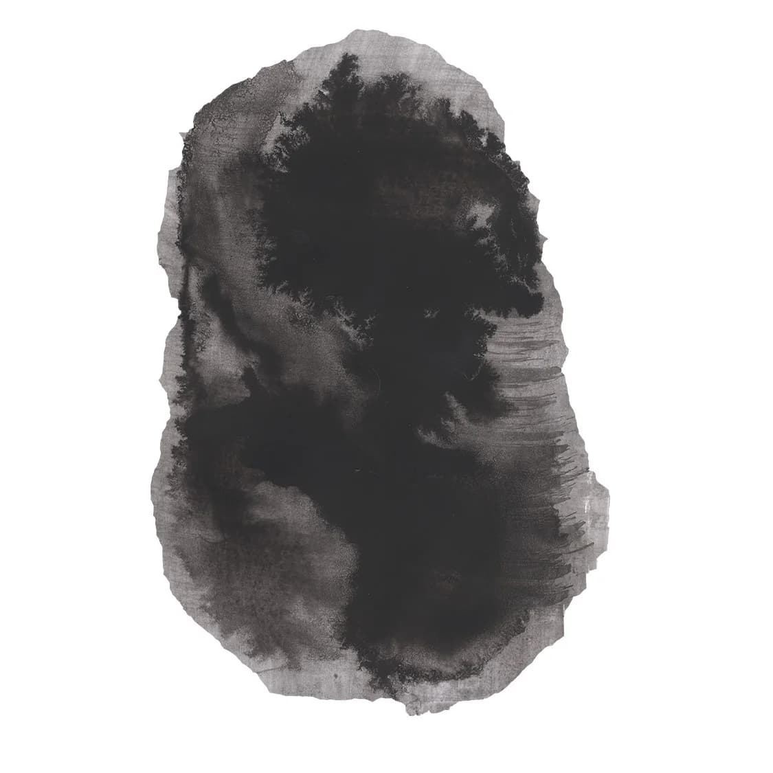 Shadow Vessel