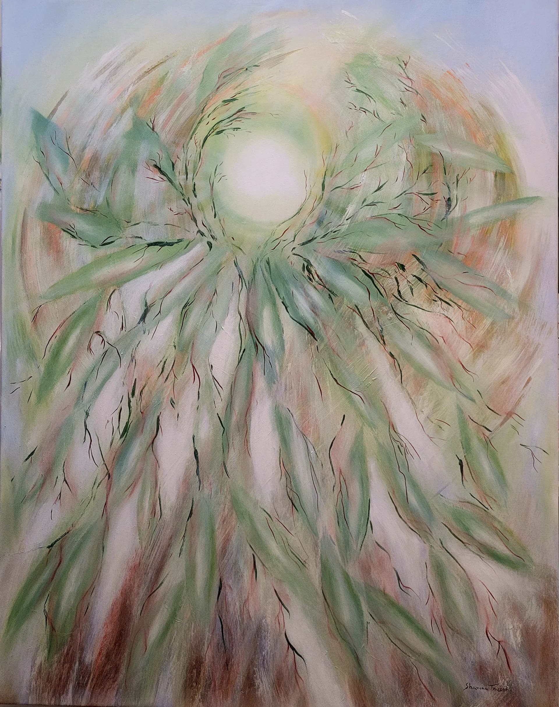 Olive leaves