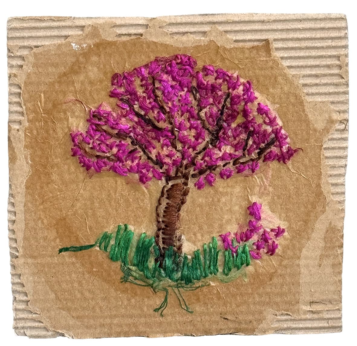 פריחה על קרטון