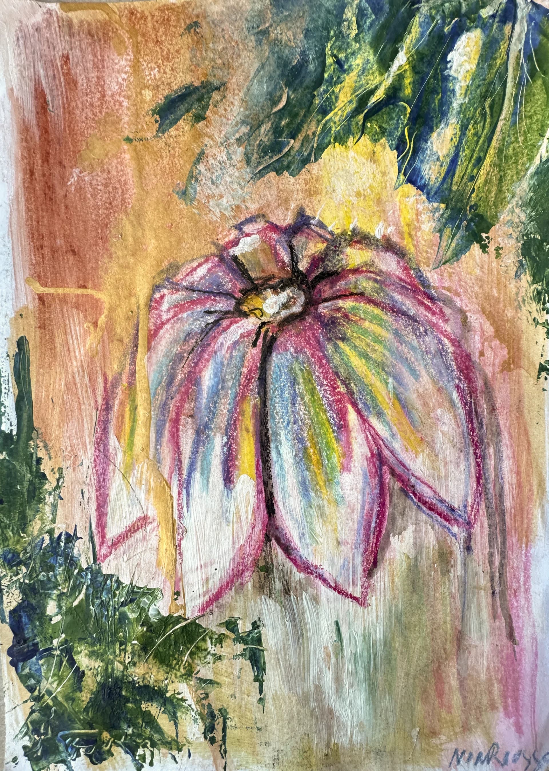 The floral collection - Lotus in Bloom