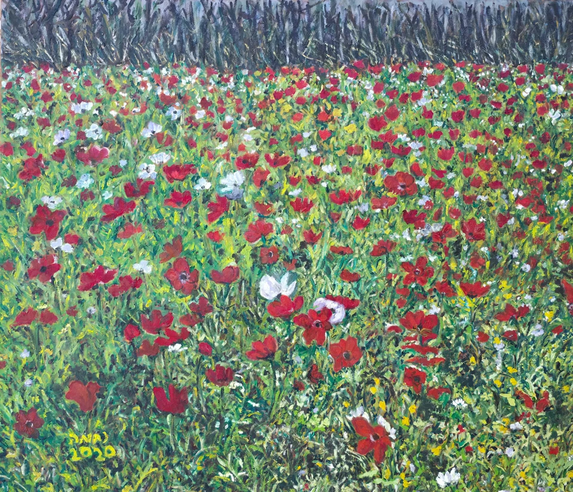 Winter field of wildflower .