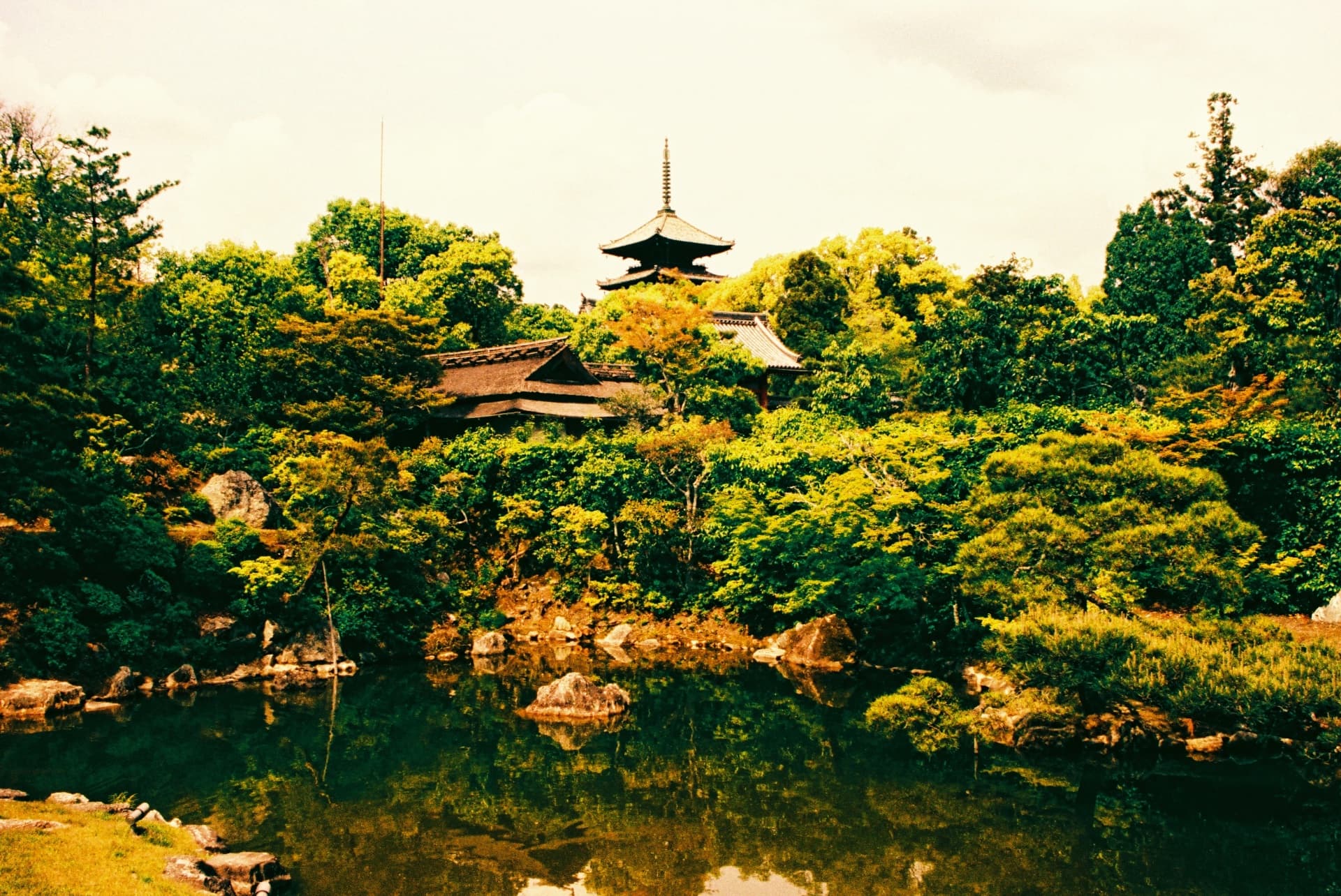 The land of the rising sun