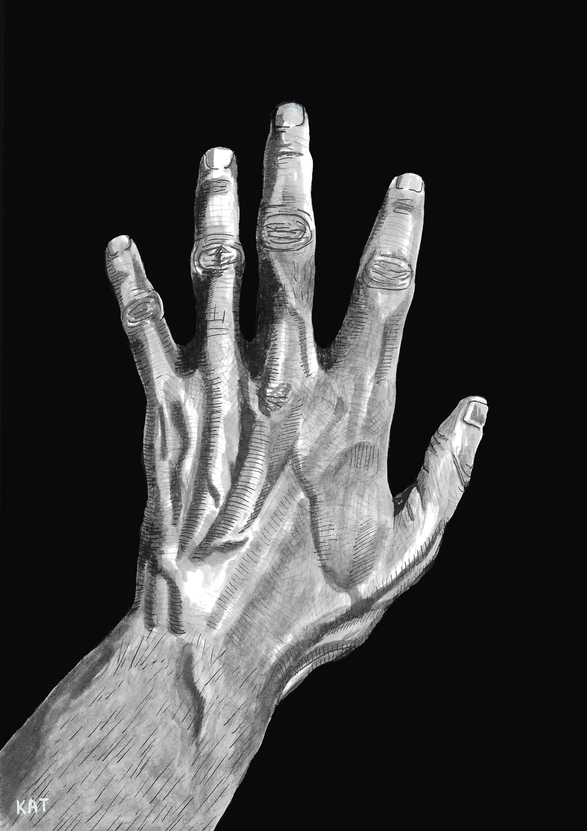 Study of an Open Hand