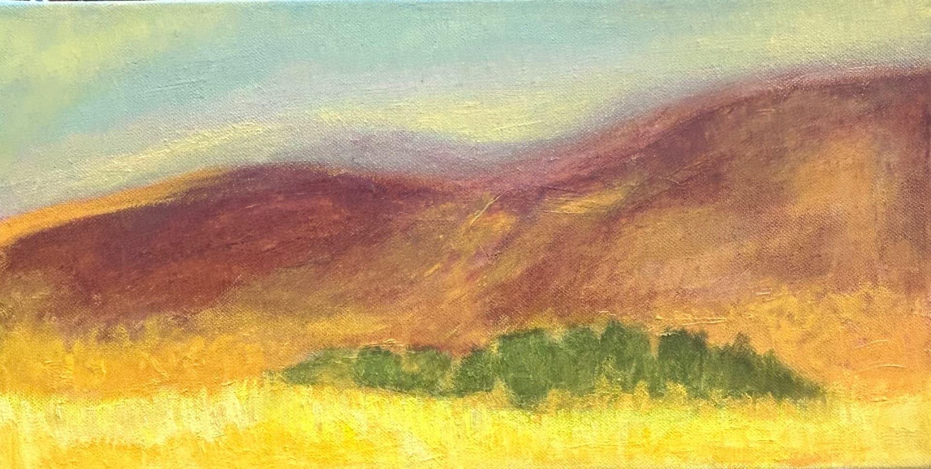Looking towards the Gilboa