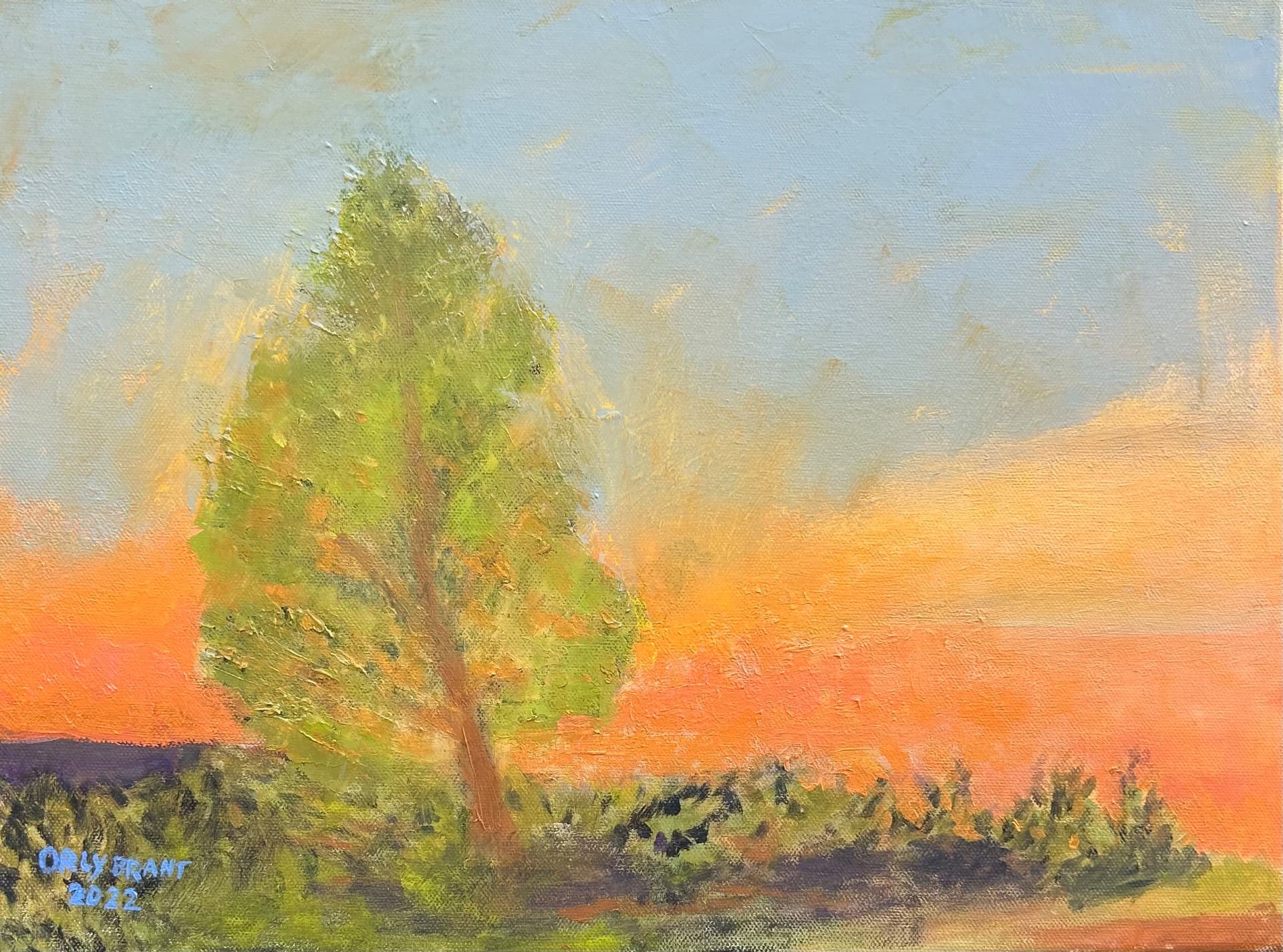 Tree at Sunset