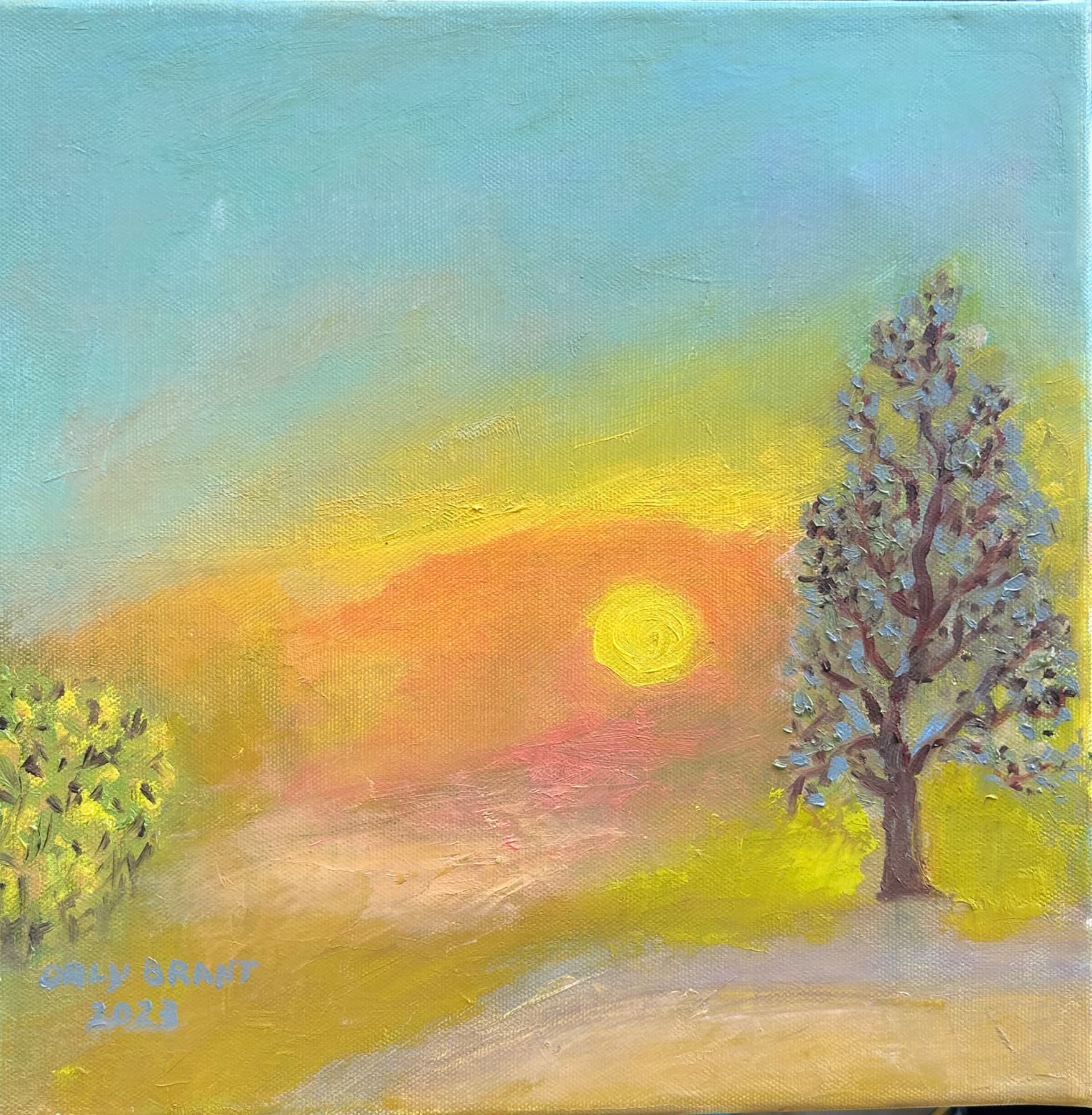 Sunlit Tree at Dusk