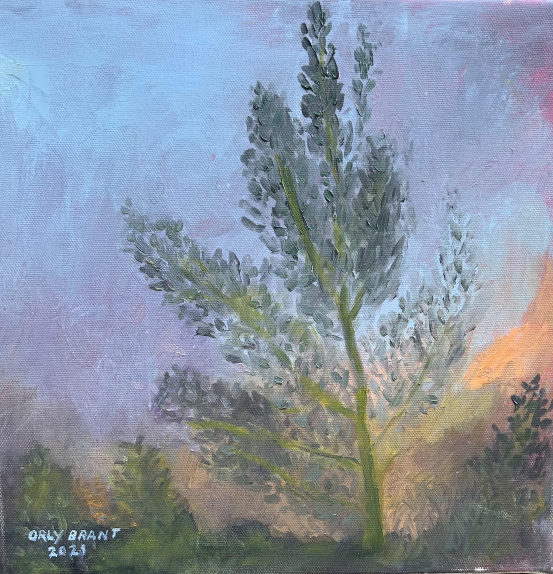 Pastel Tree at Dusk