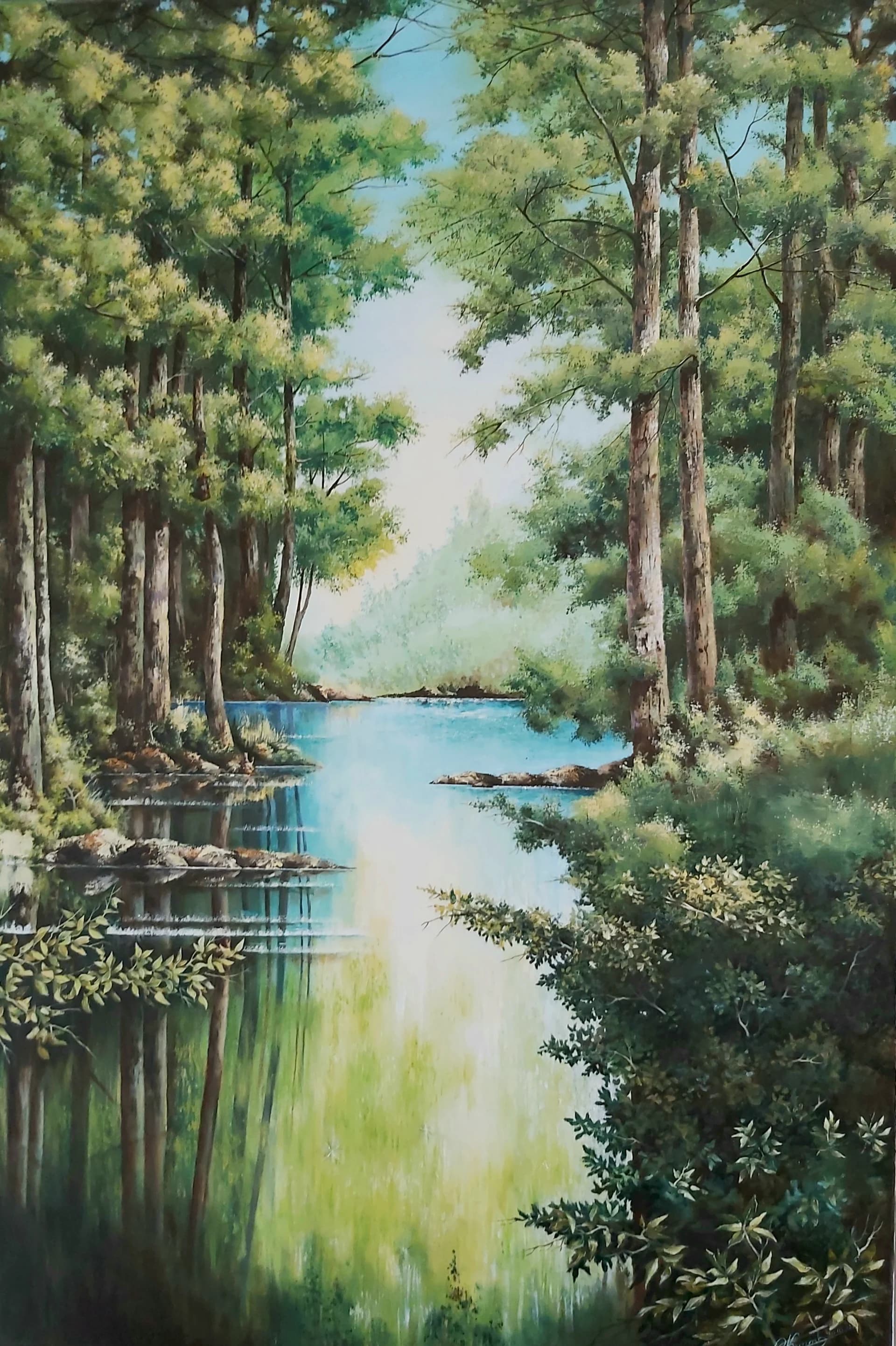 Forest Light on Water