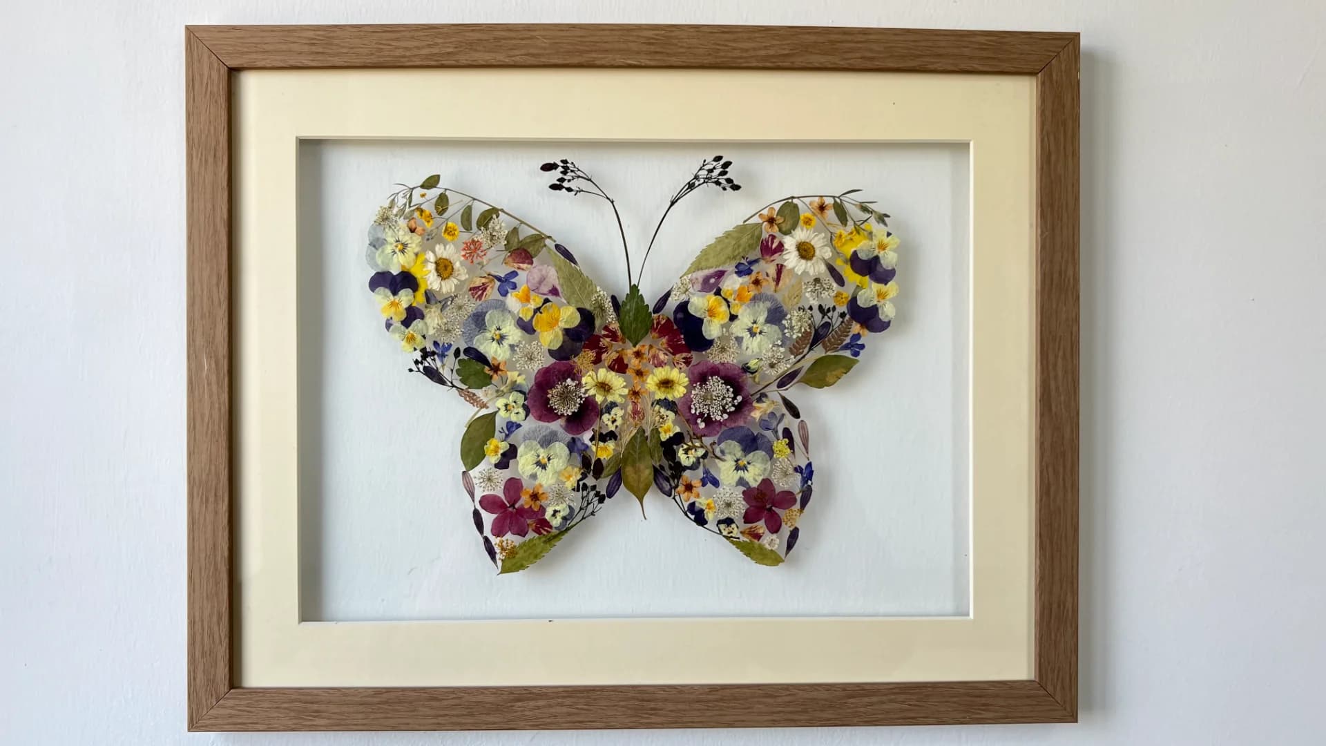 Botanical Butterfly Study 2