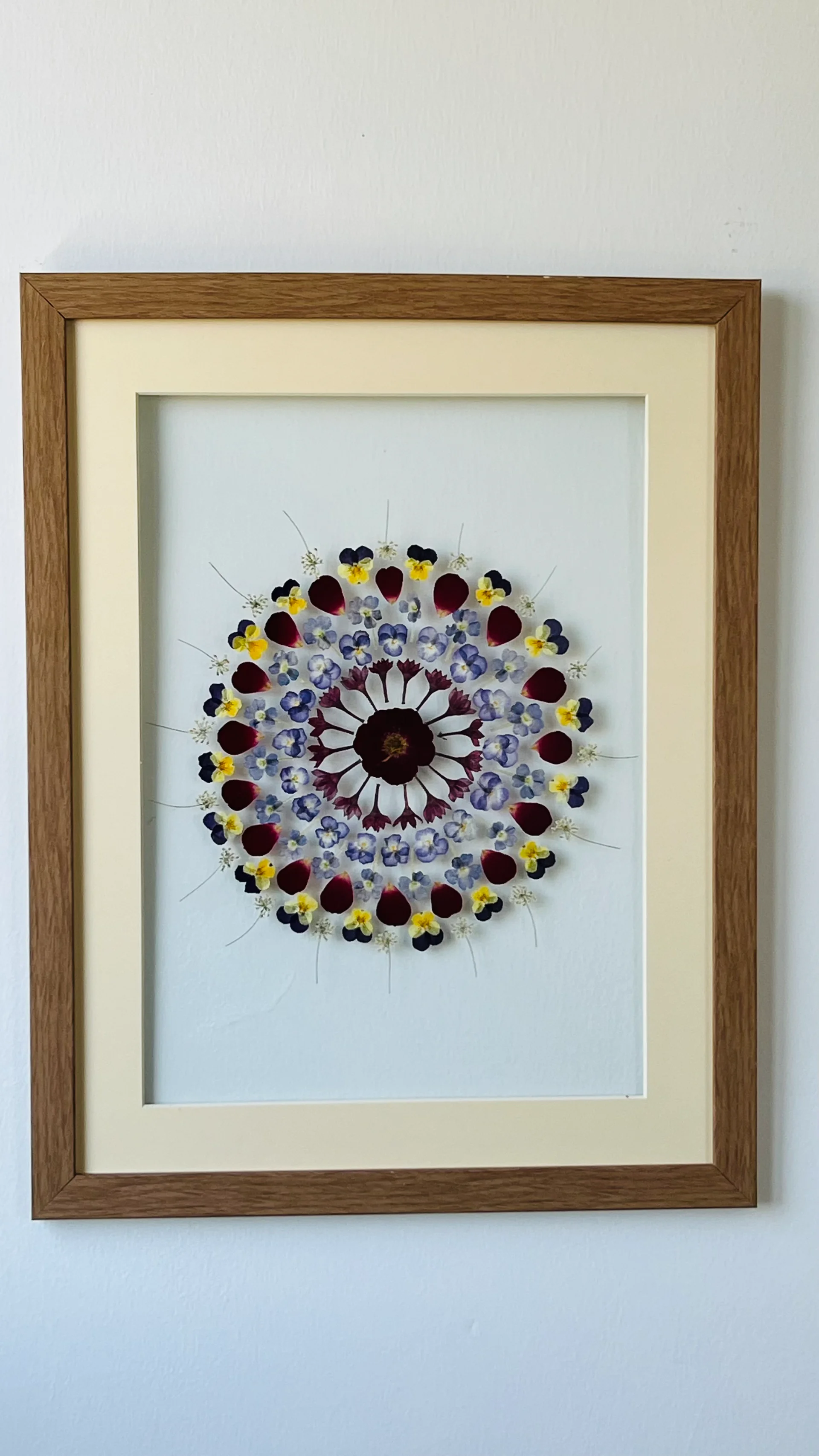 Floral Circle Study 2