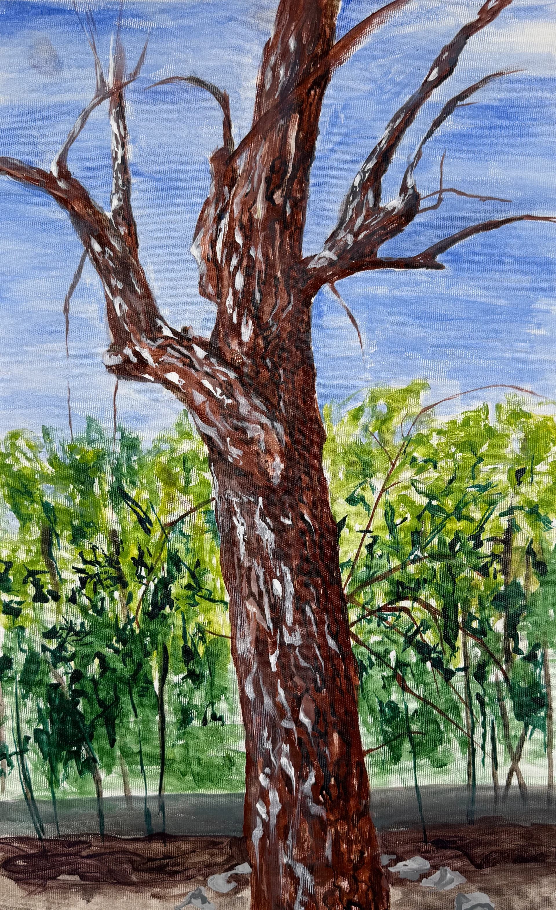 The Trees of Ein Kerem