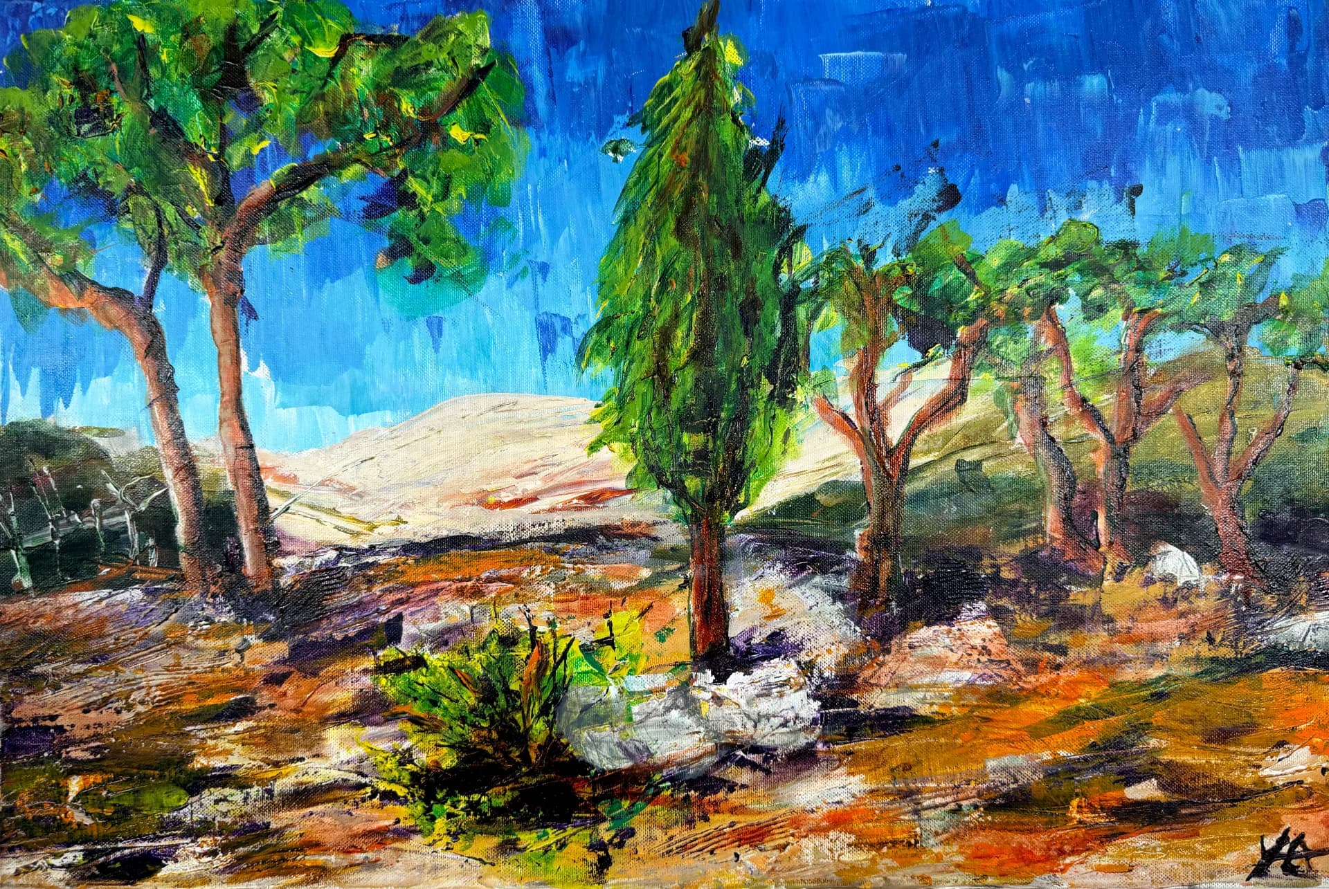 Canda forest
