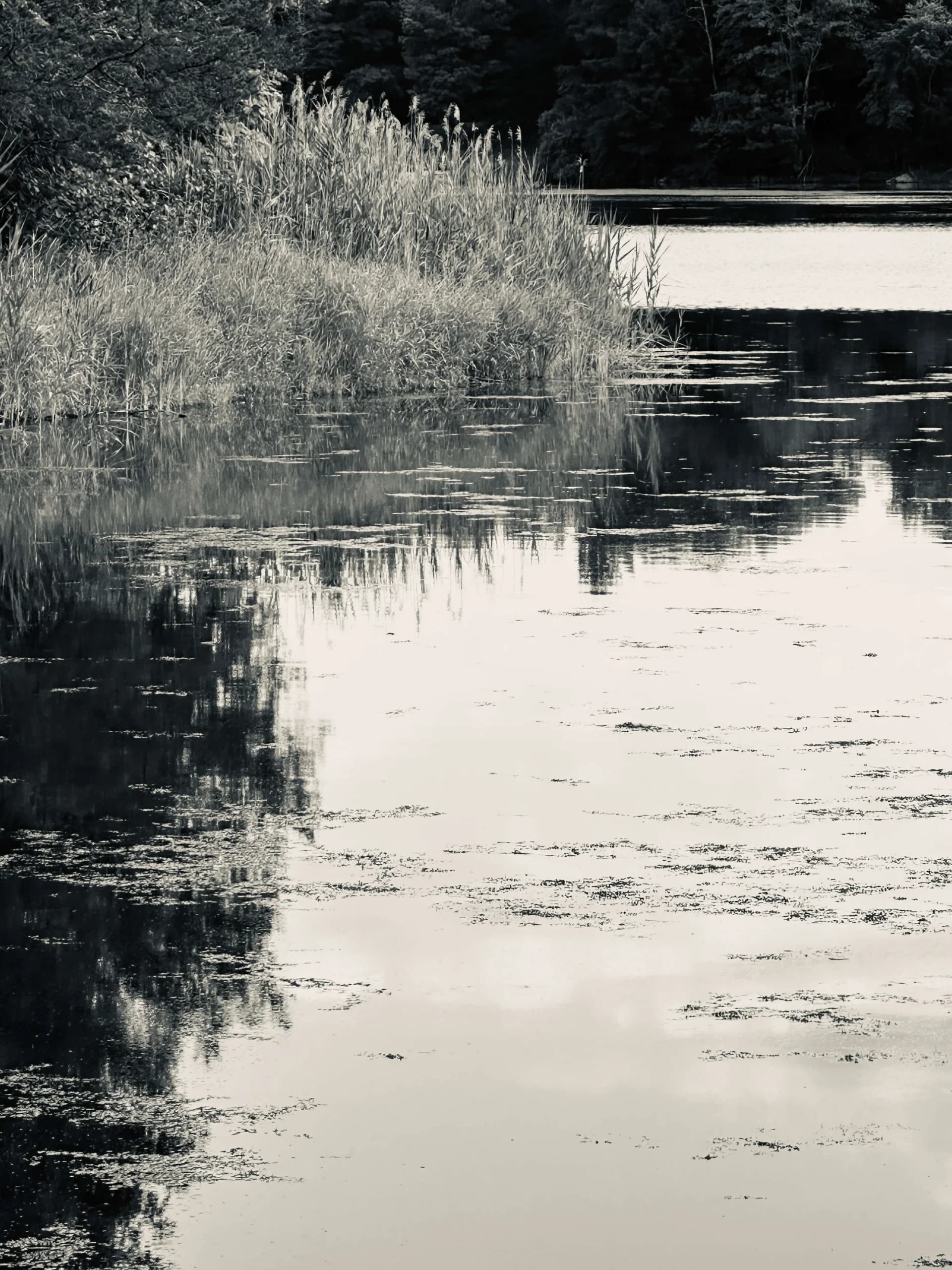 The Water