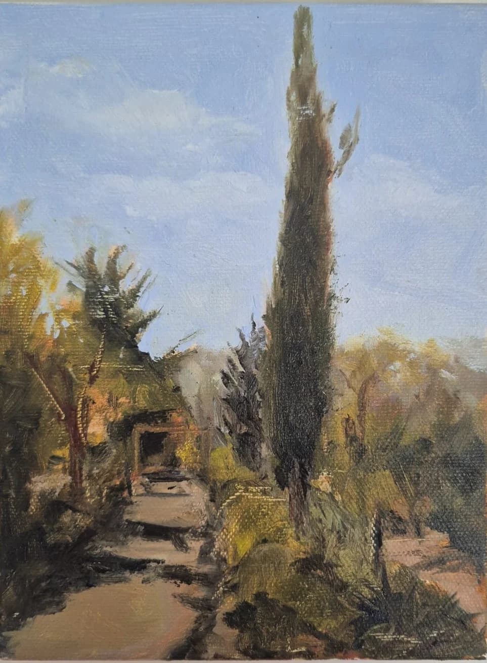 שביל במנזר האחיות מציון, עין כרם