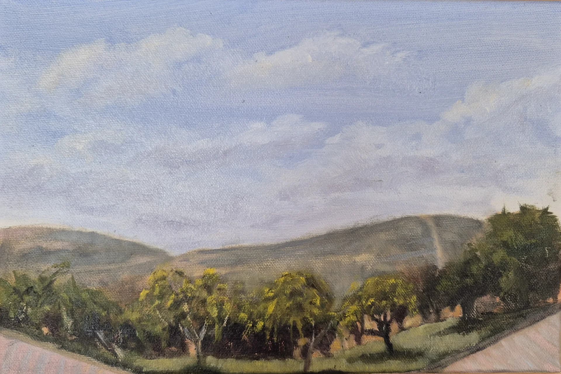גינה במנזר האחיות מציון, עין כרם