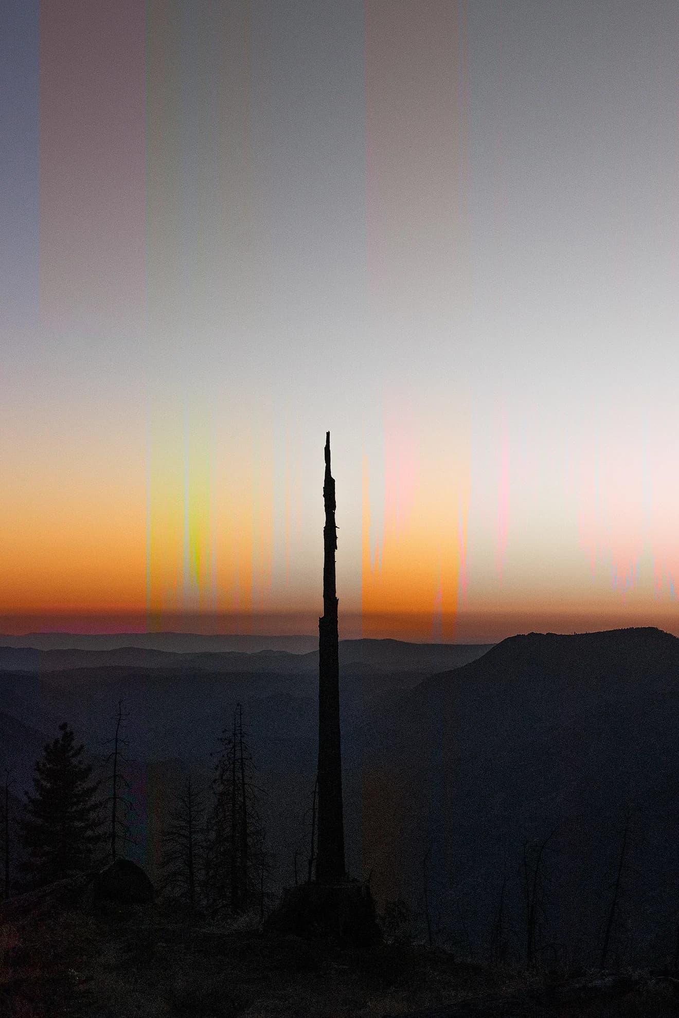 Twilight Tree