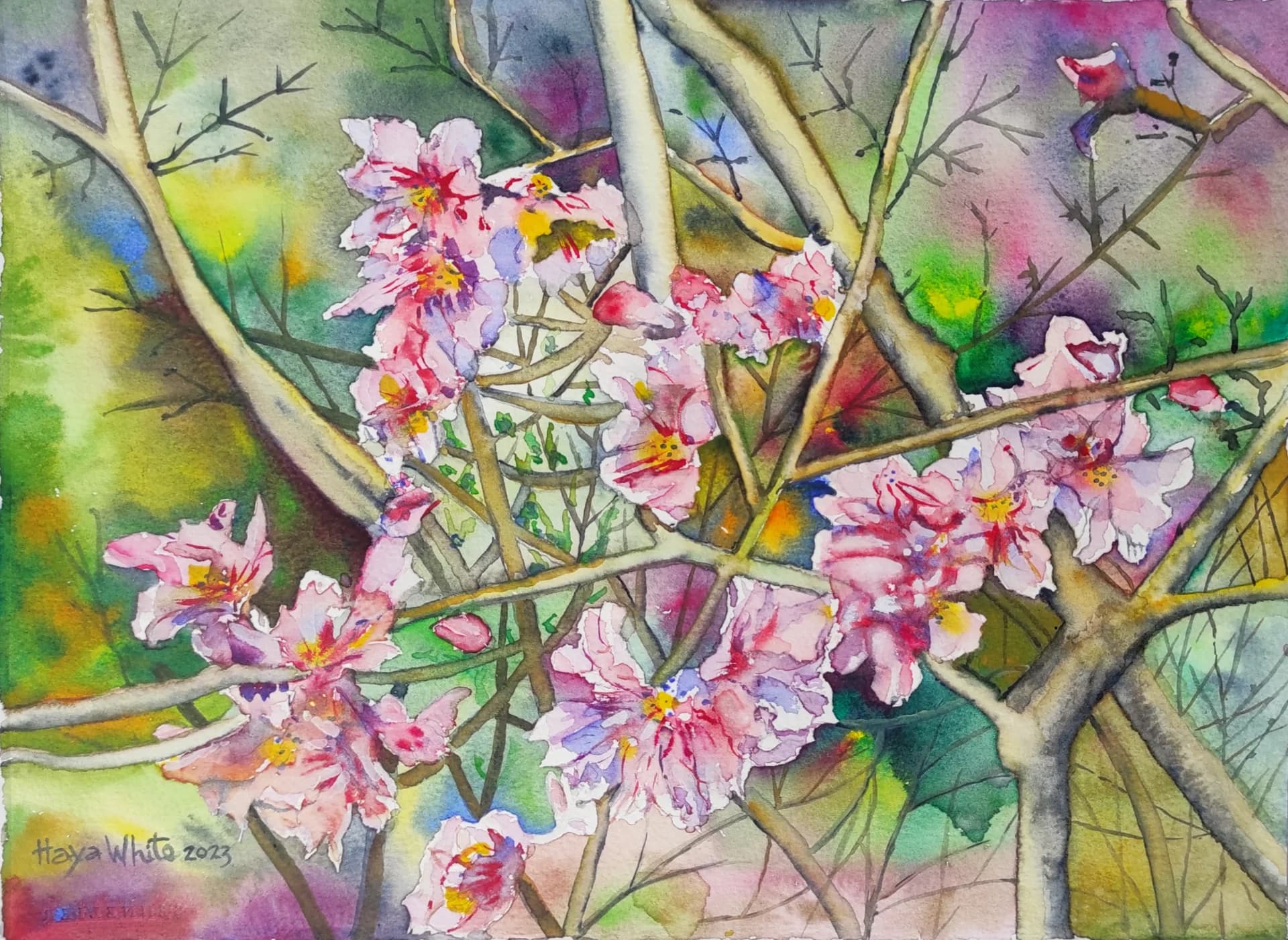 Pink Blossoms in Branches