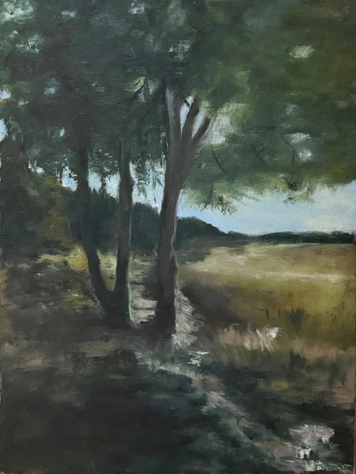 Trees by the Field
