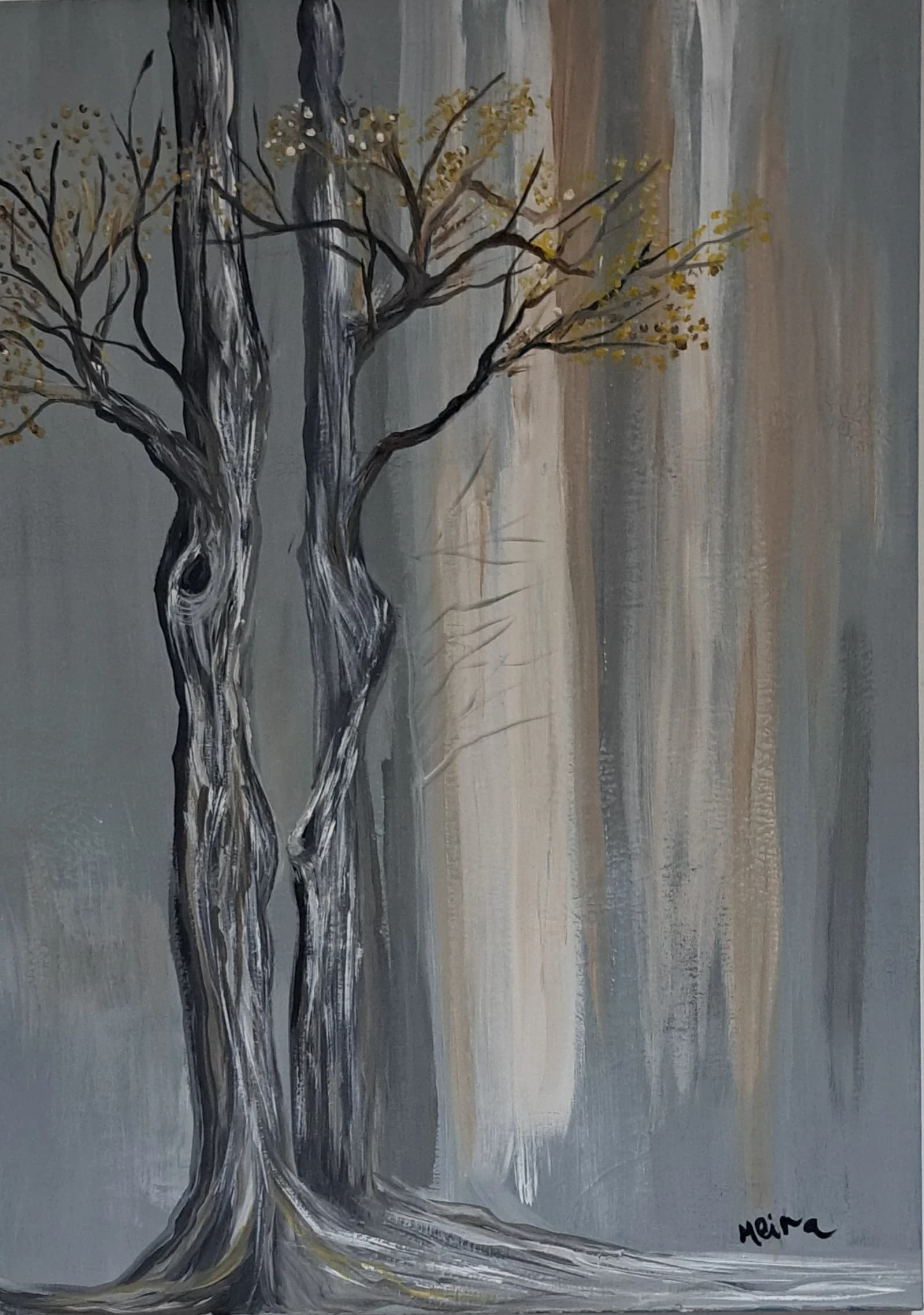 Silver Tree Study