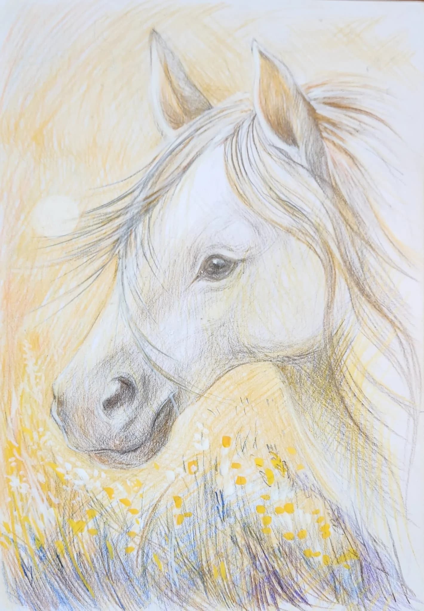 Horse in Golden Field