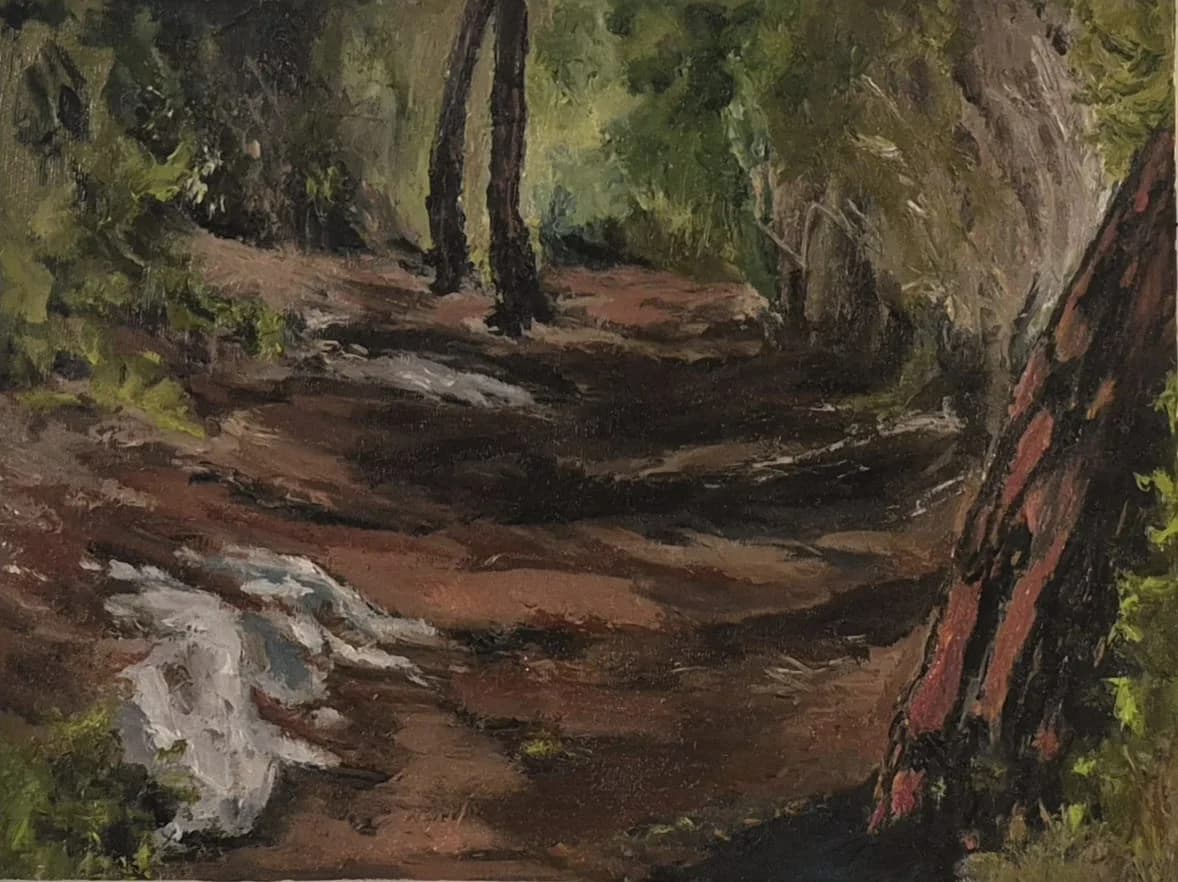 Woodland Path Study, after the rain