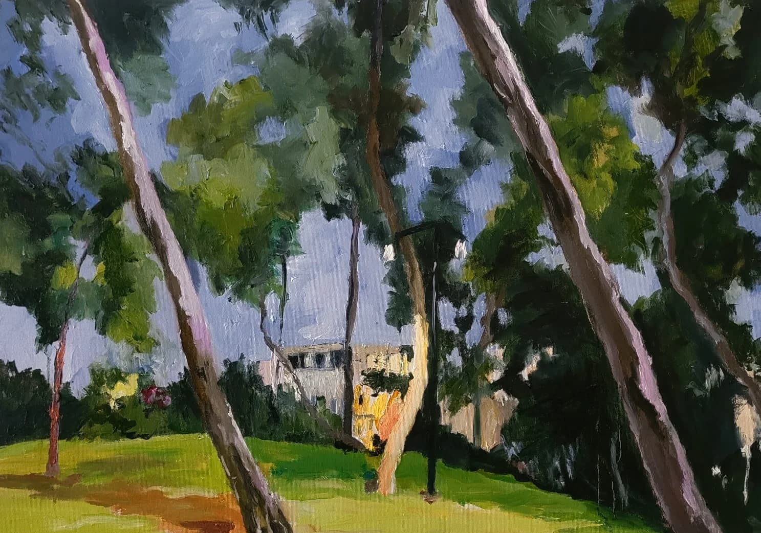 Trees Before Evening Sky