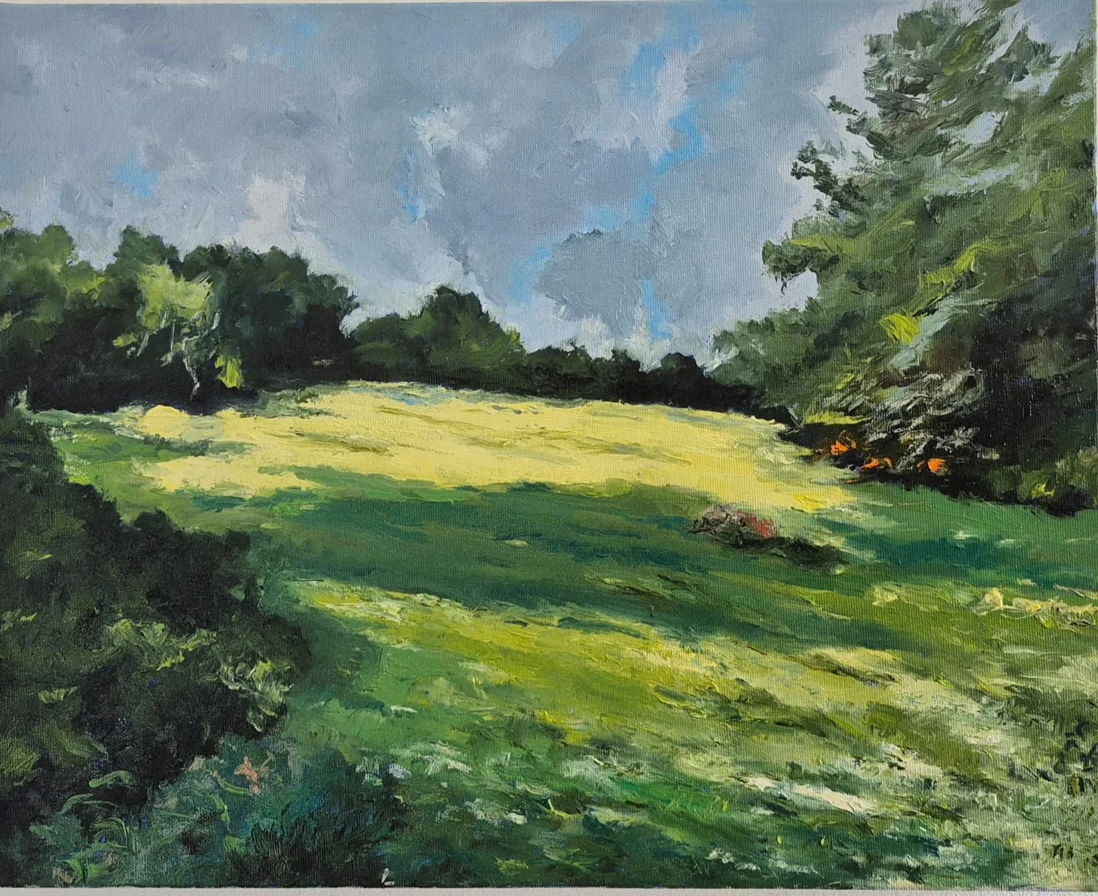 Sunlit Meadow Edge