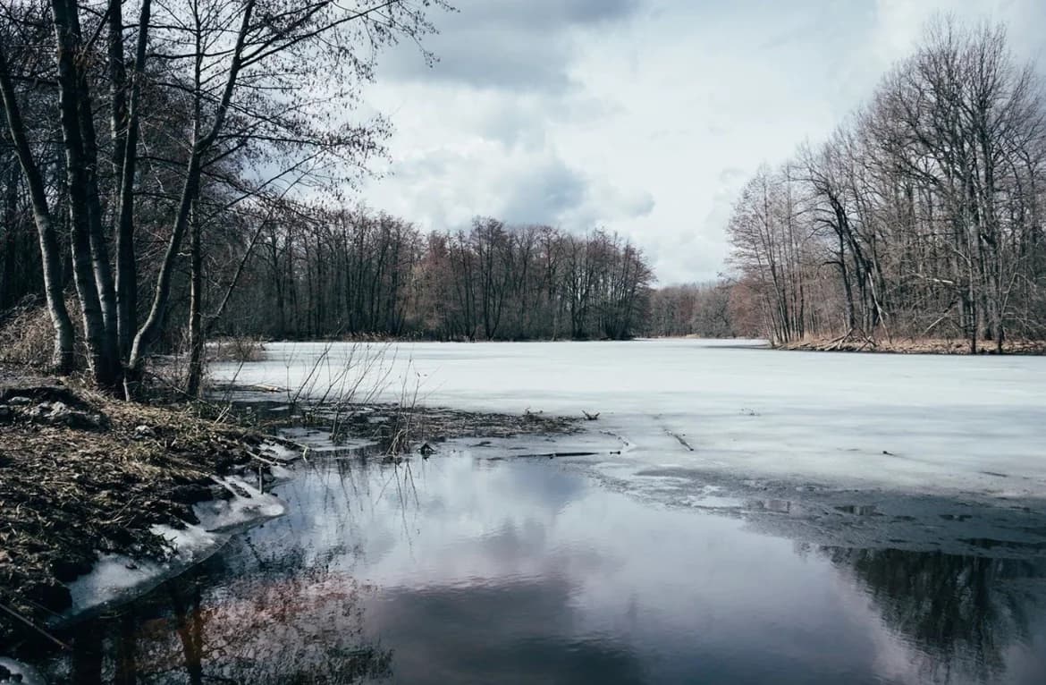 Frozen Lake