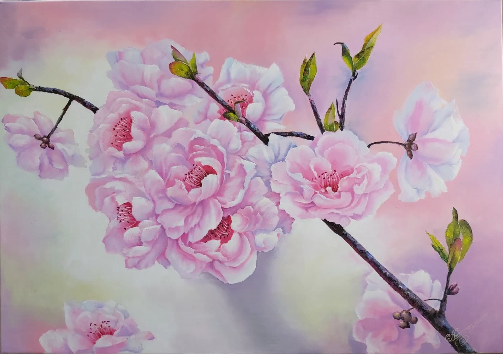 Pink Blossom Branch