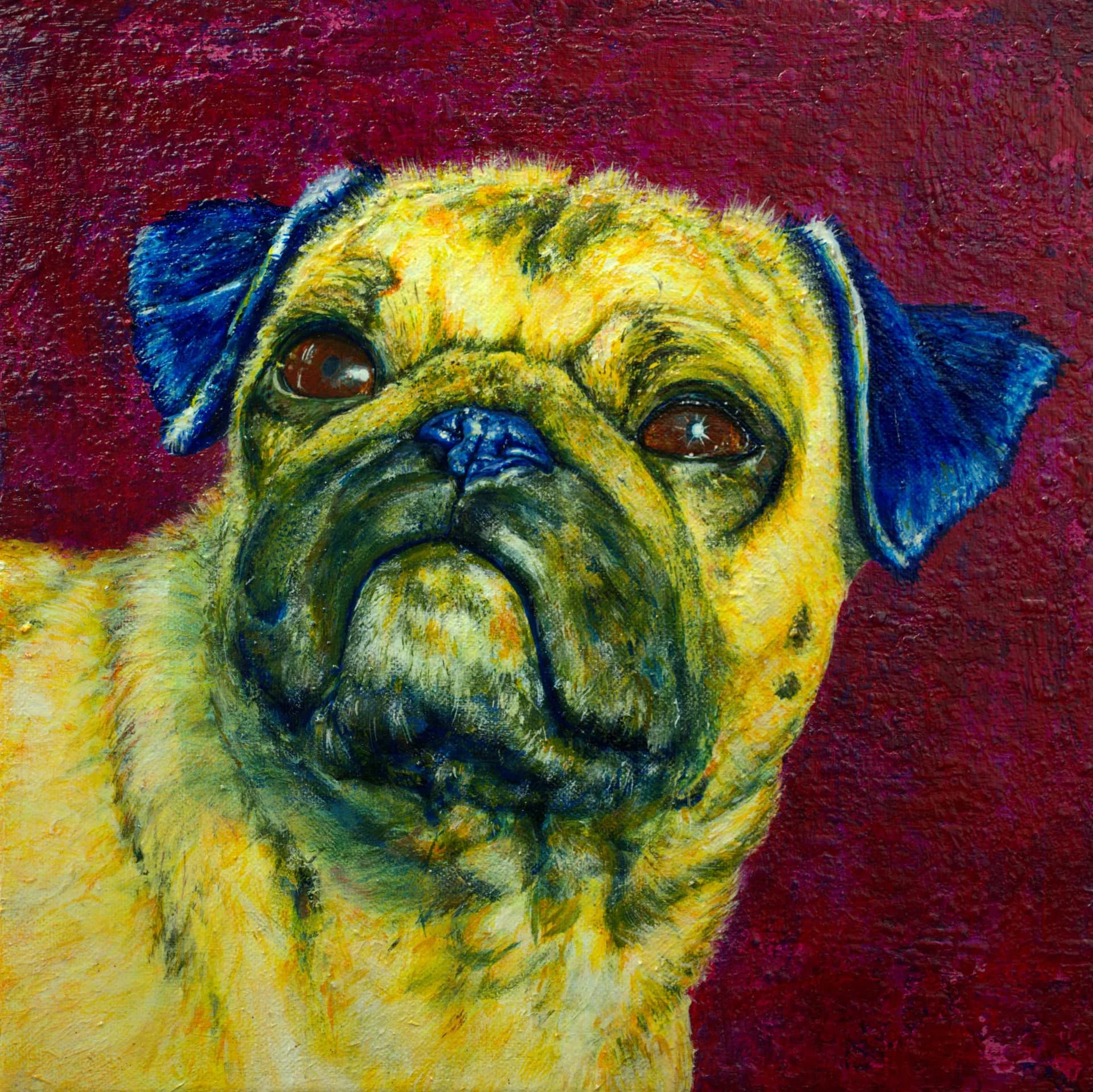 Pug