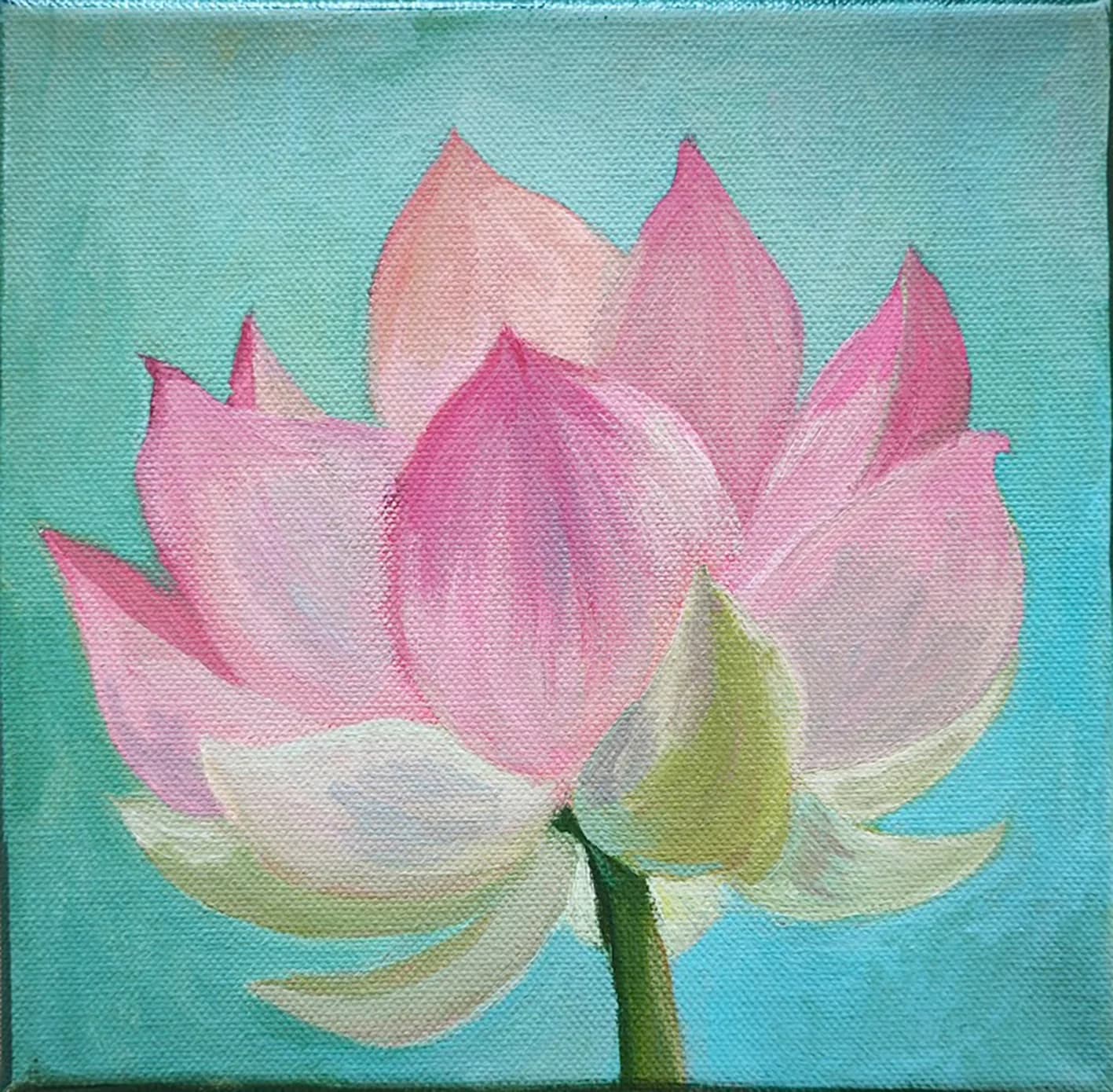 Pink Lotus Bloom