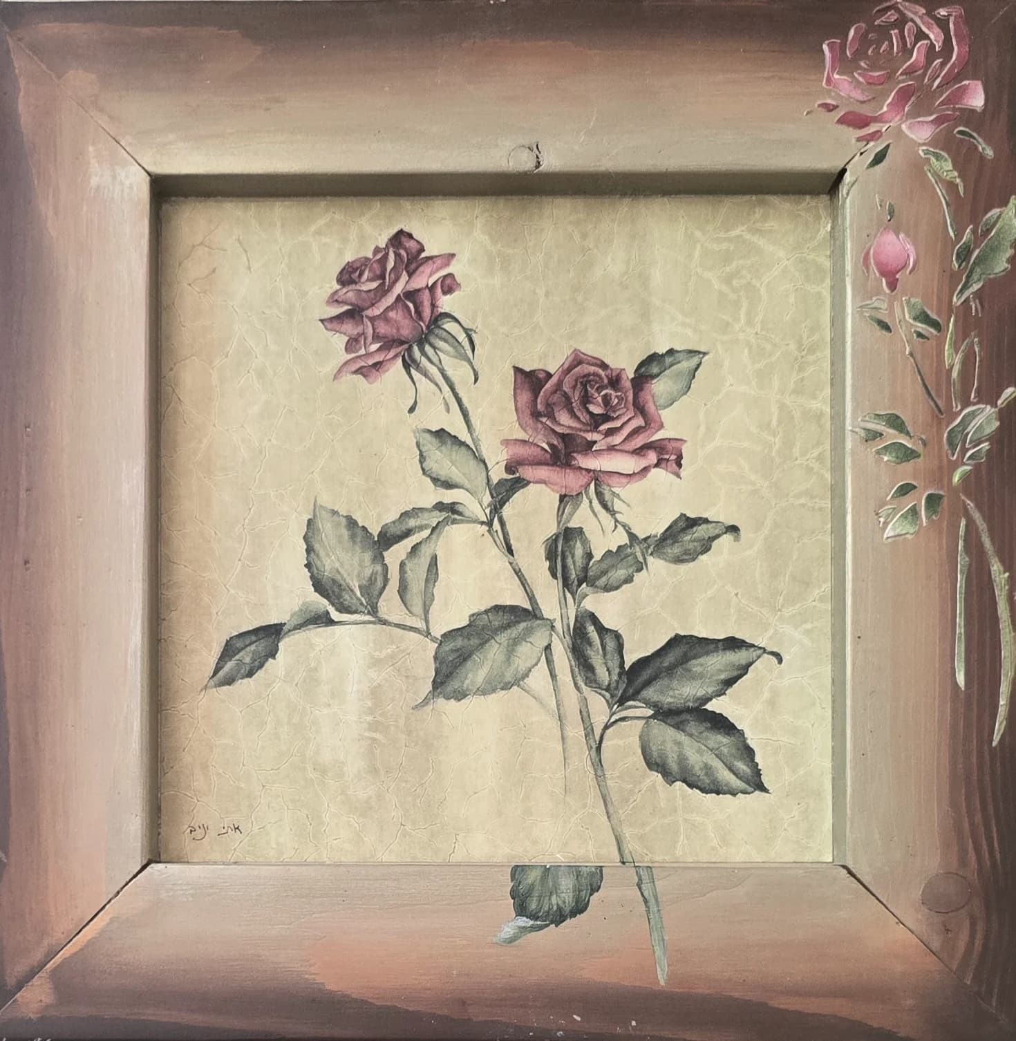 Rose 1