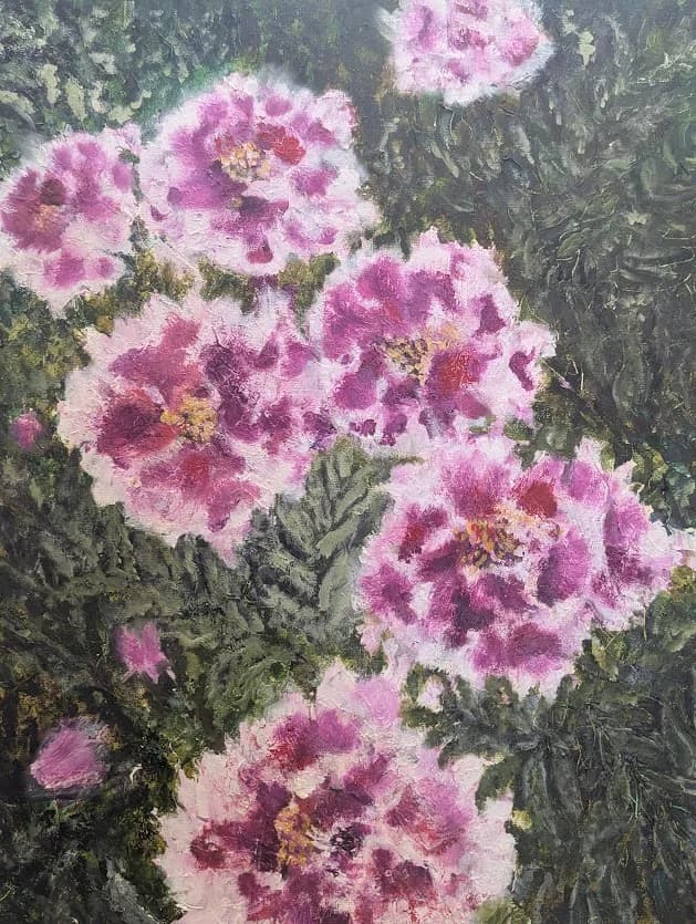 Pink Peonies in Bloom