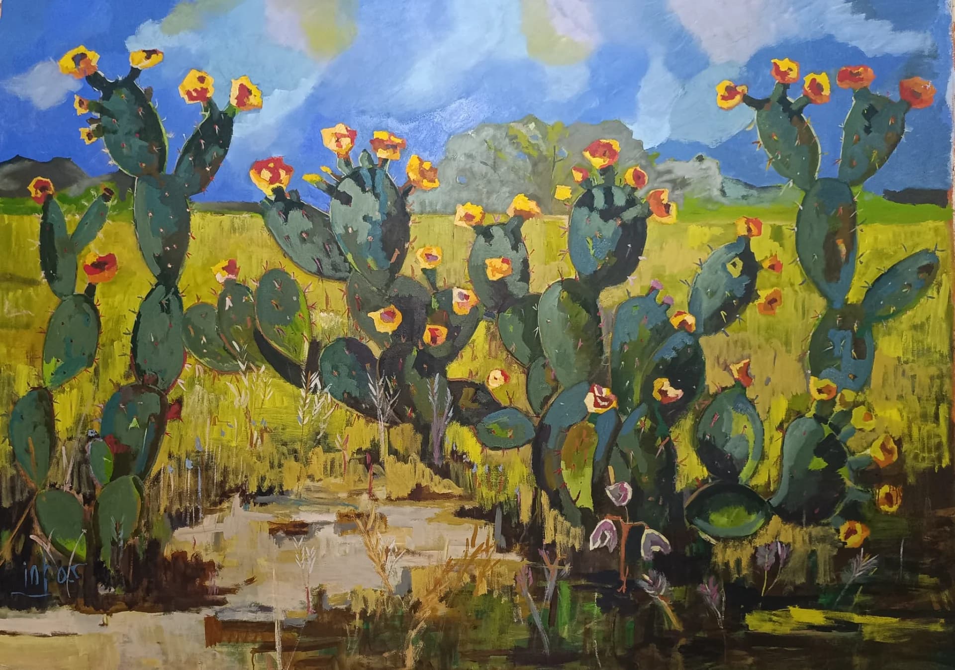 פריחת הצבר / Prickly Pear Blooms