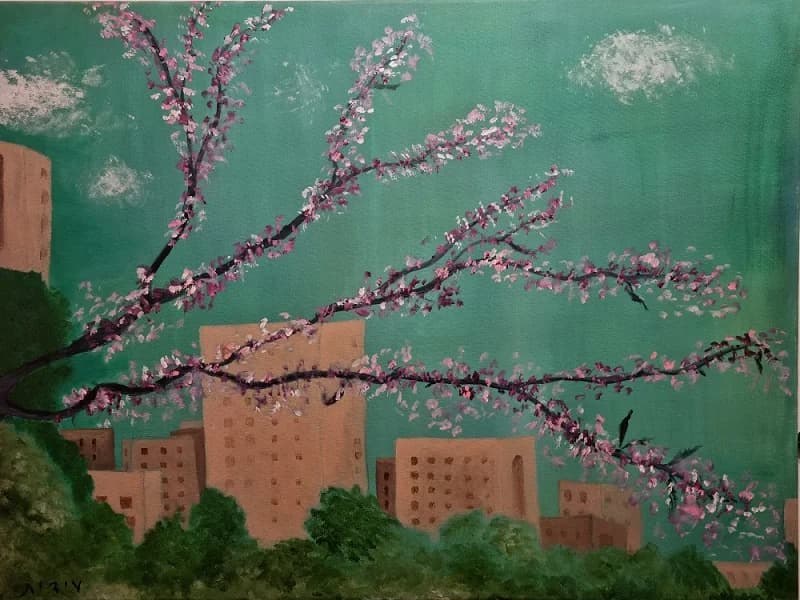 Blossoms Over the City