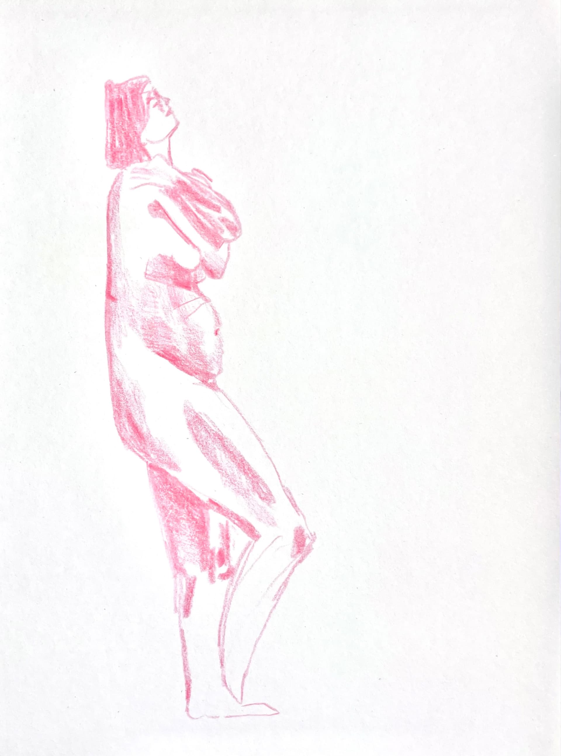 Rose Figure Study