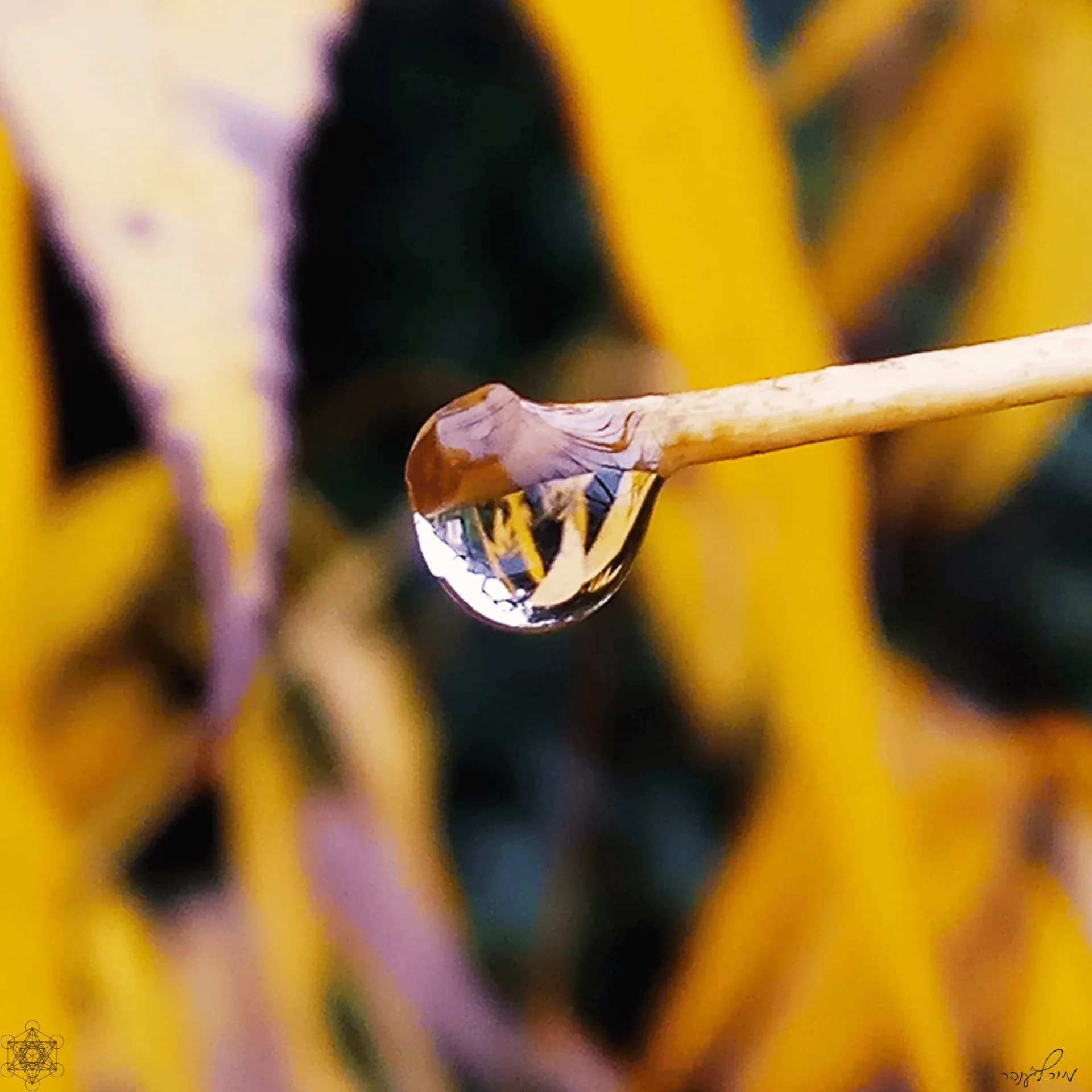 Hanging on the Fall