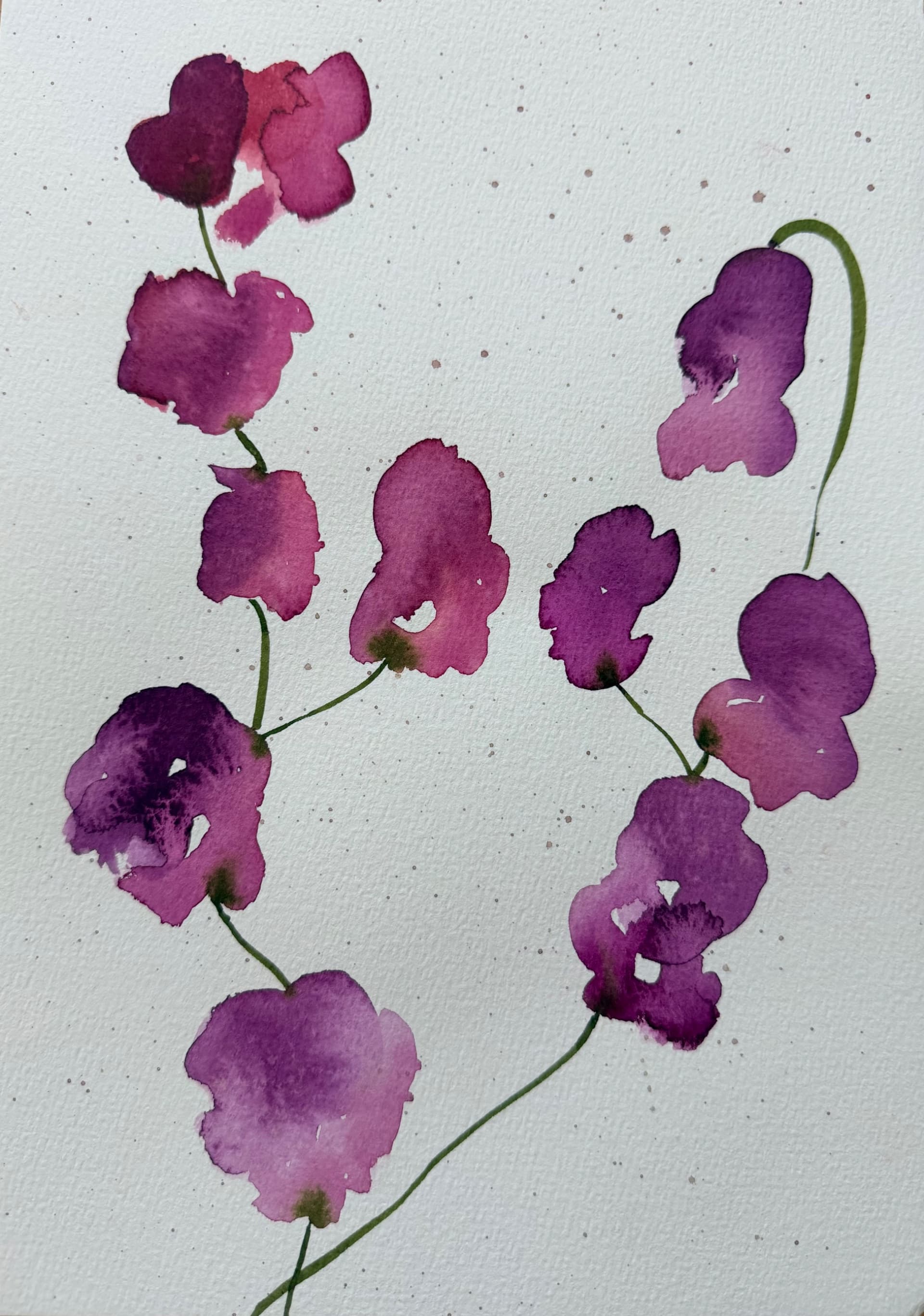 Violet Sweet Peas