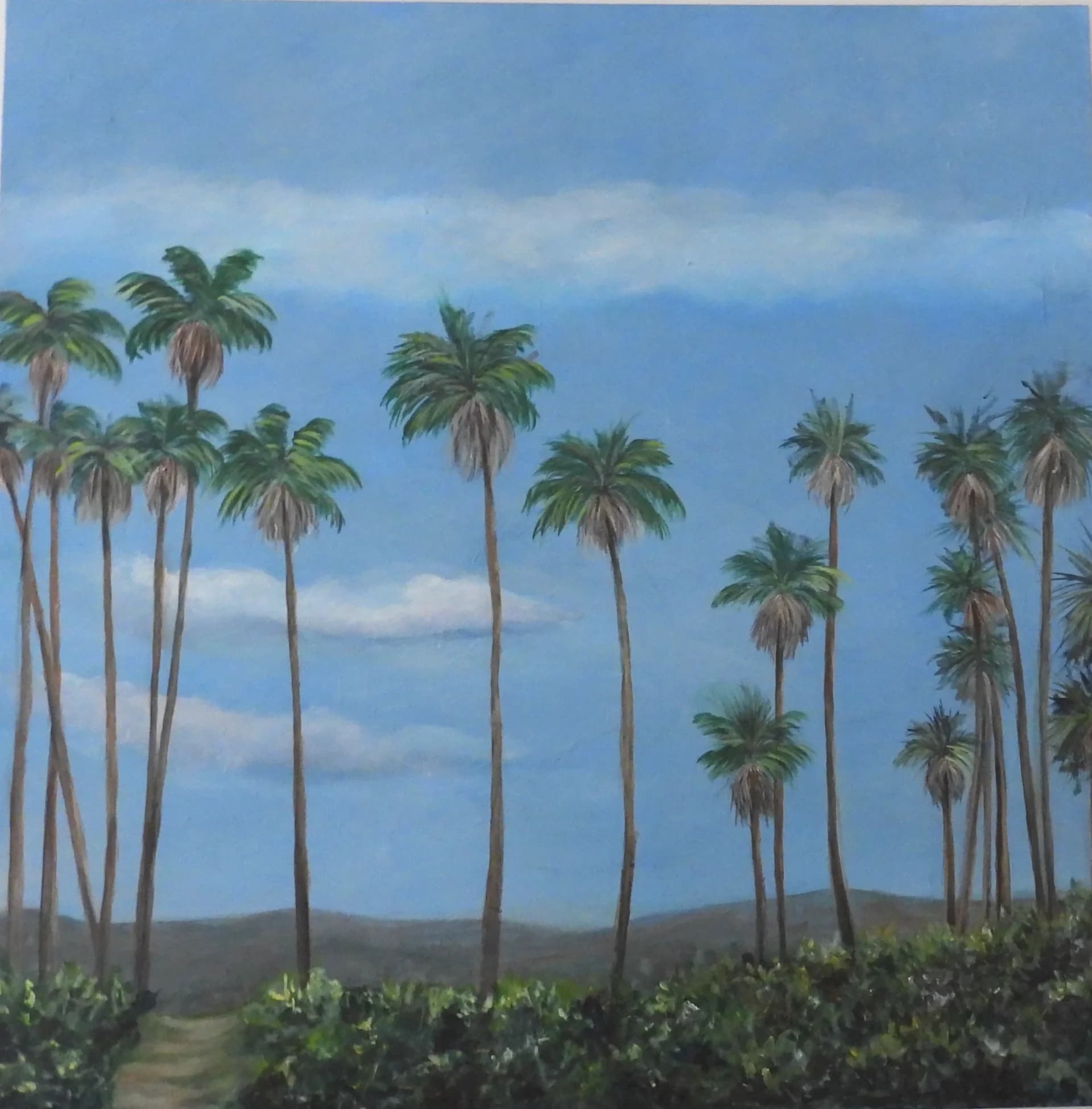 Palms Under Blue Sky